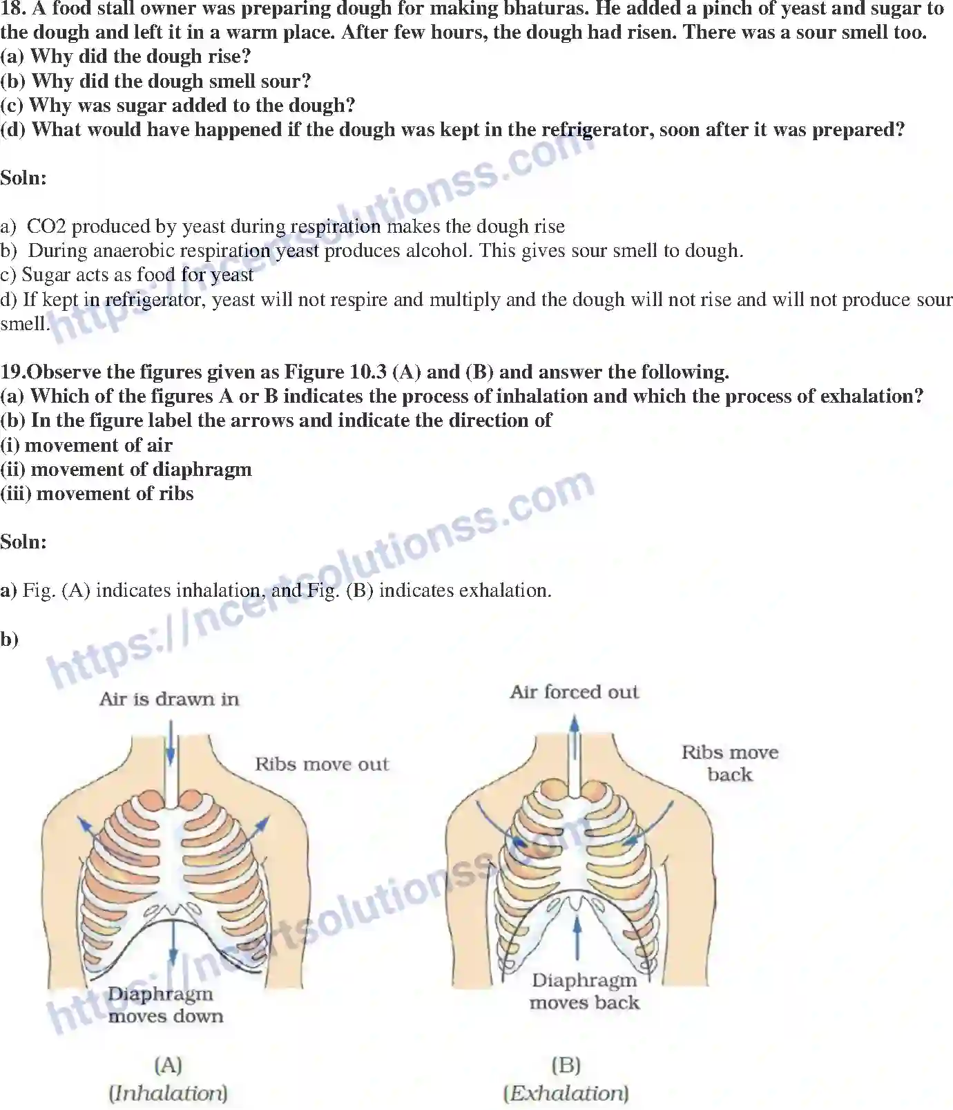 NCERT-Exemplar-Solution-Class-7-Science-Respiration-in-Organisms-237-page-7