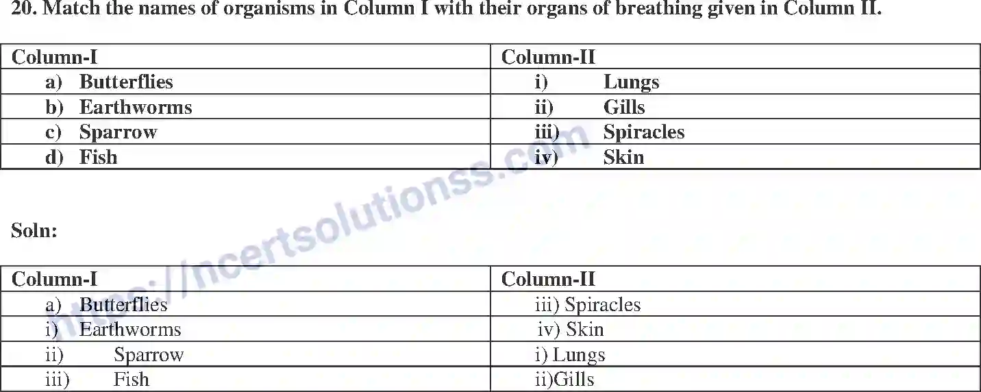 NCERT-Exemplar-Solution-Class-7-Science-Respiration-in-Organisms-237-page-8