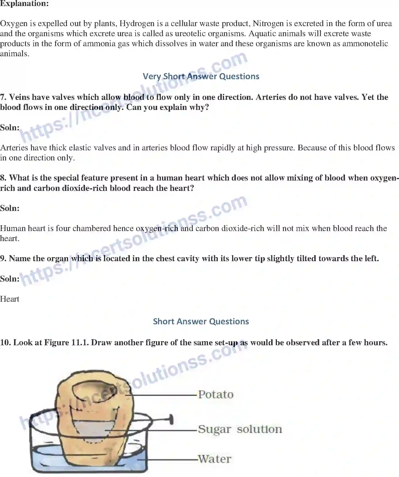 NCERT-Exemplar-Solution-Class-7-Science-Transportation-in-Animals-and-Plants-238-page-3