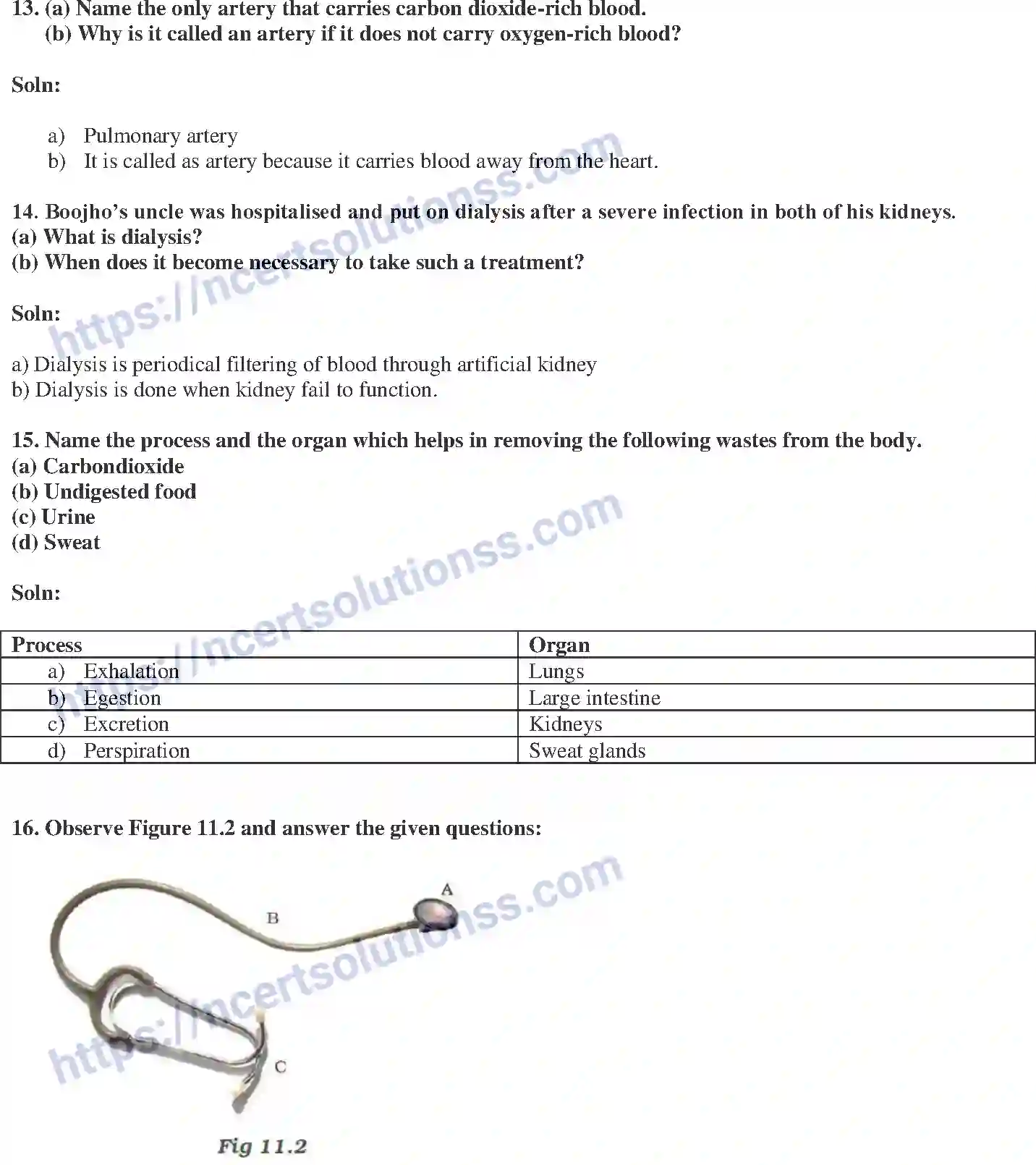 NCERT-Exemplar-Solution-Class-7-Science-Transportation-in-Animals-and-Plants-238-page-5