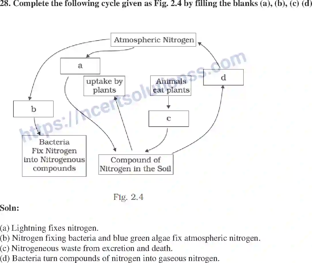 NCERT-Exemplar-Solution-Class-8-Science-Microorganisms-Friend-and-Foe-199-page-11