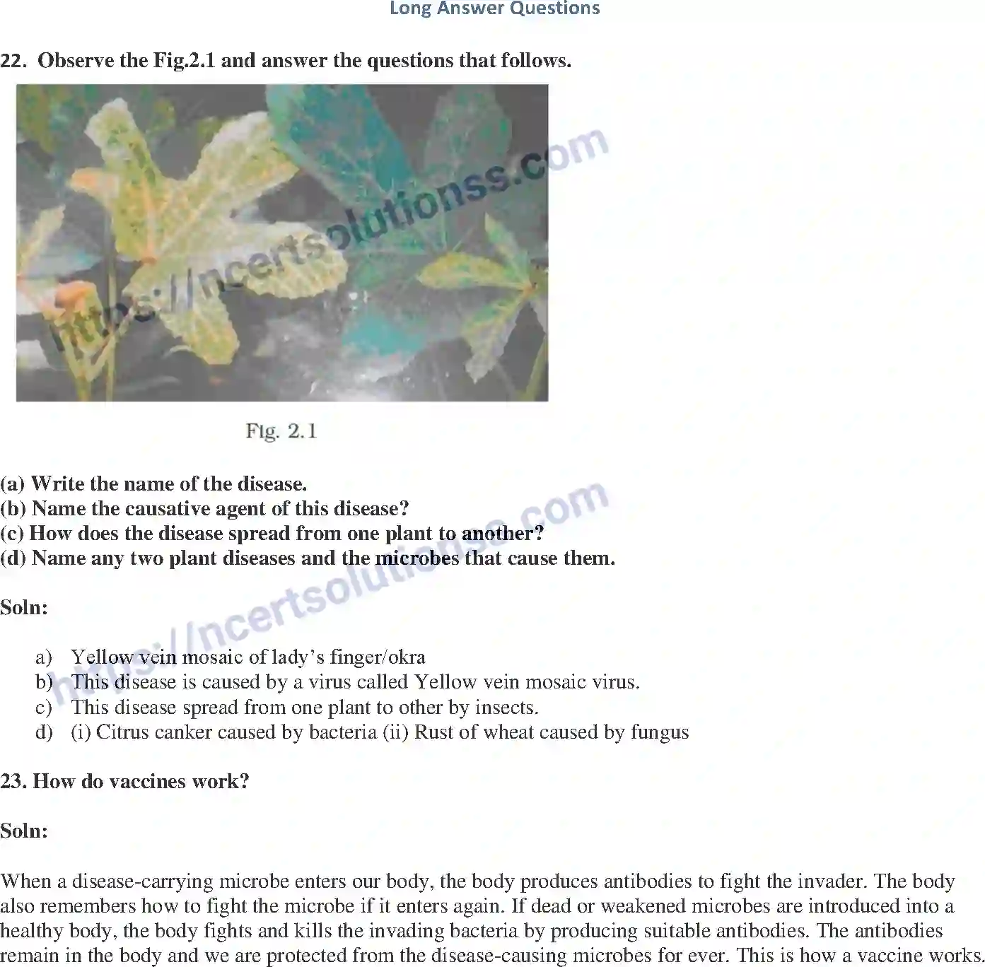 NCERT-Exemplar-Solution-Class-8-Science-Microorganisms-Friend-and-Foe-199-page-7