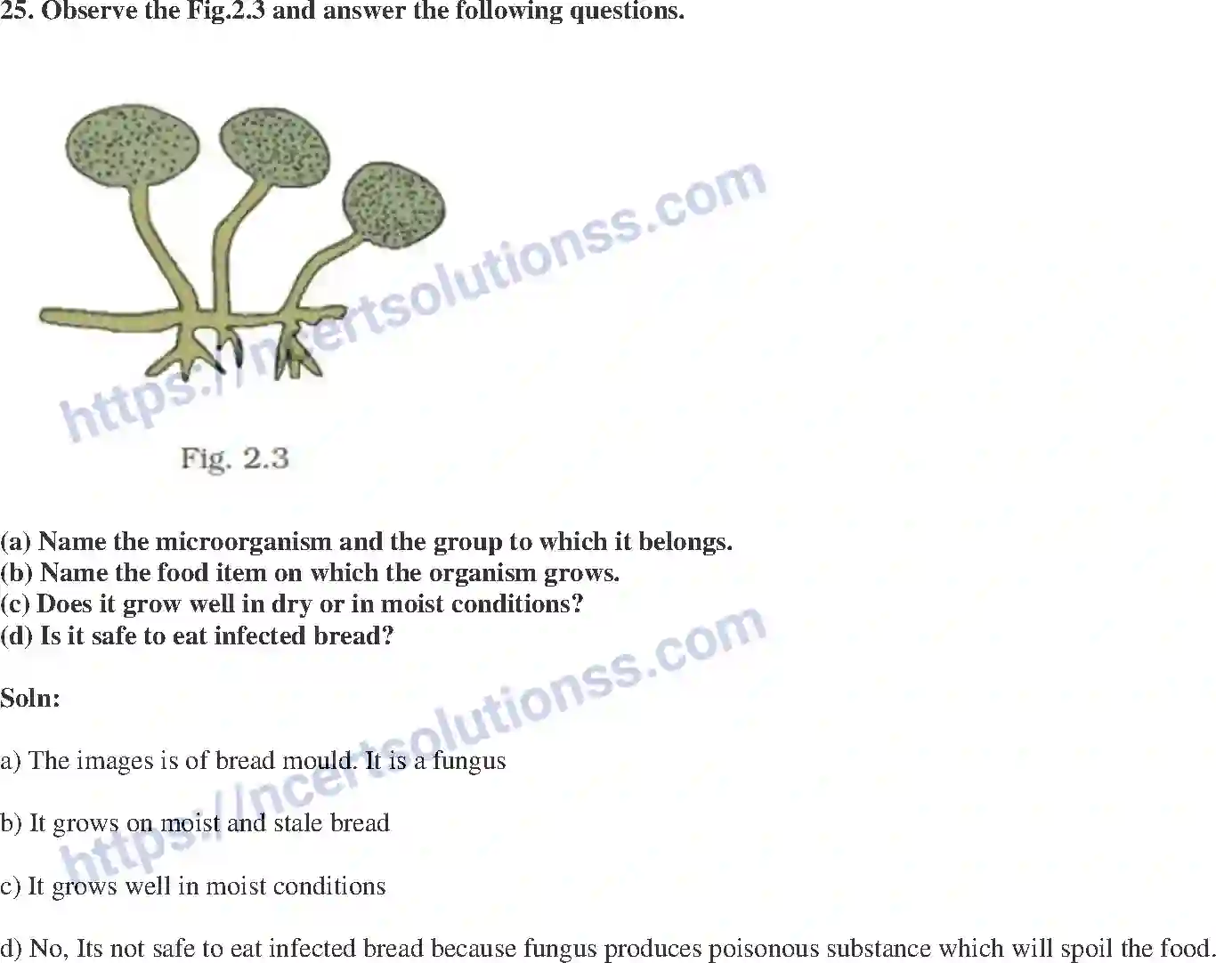 NCERT-Exemplar-Solution-Class-8-Science-Microorganisms-Friend-and-Foe-199-page-9