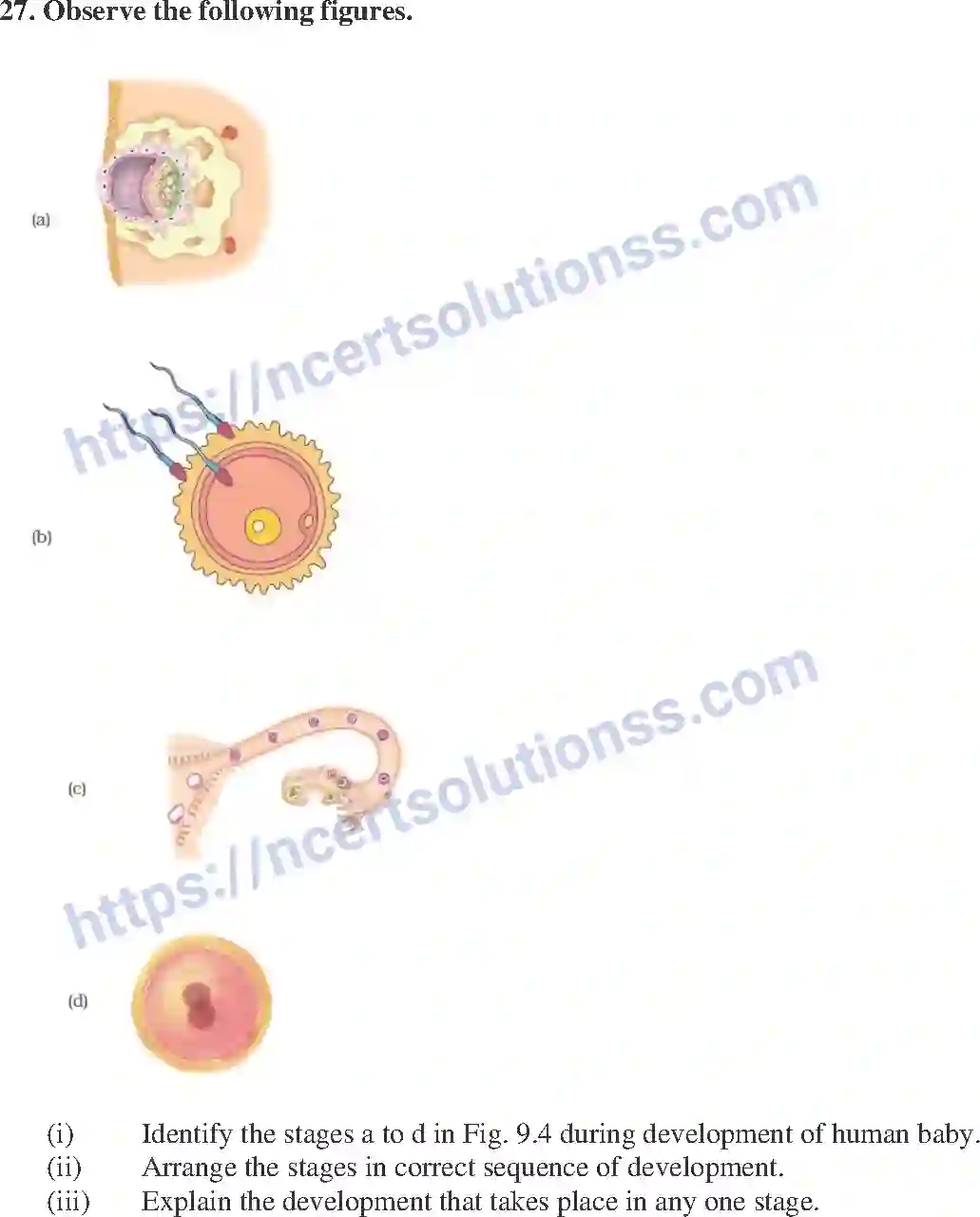 NCERT-Exemplar-Solution-Class-8-Science-Reproduction-in-Animals-206-page-10