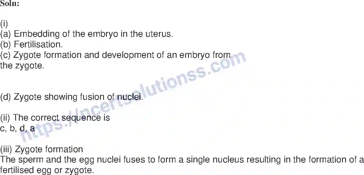 NCERT-Exemplar-Solution-Class-8-Science-Reproduction-in-Animals-206-page-11