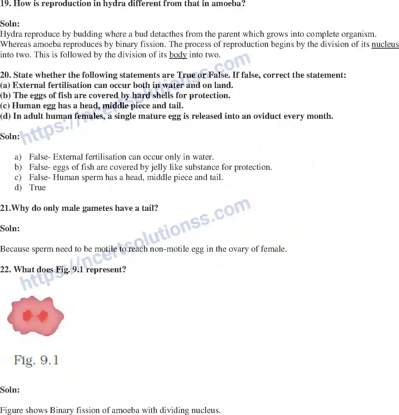 NCERT-Exemplar-Solution-Class-8-Science-Reproduction-in-Animals-206-page-6