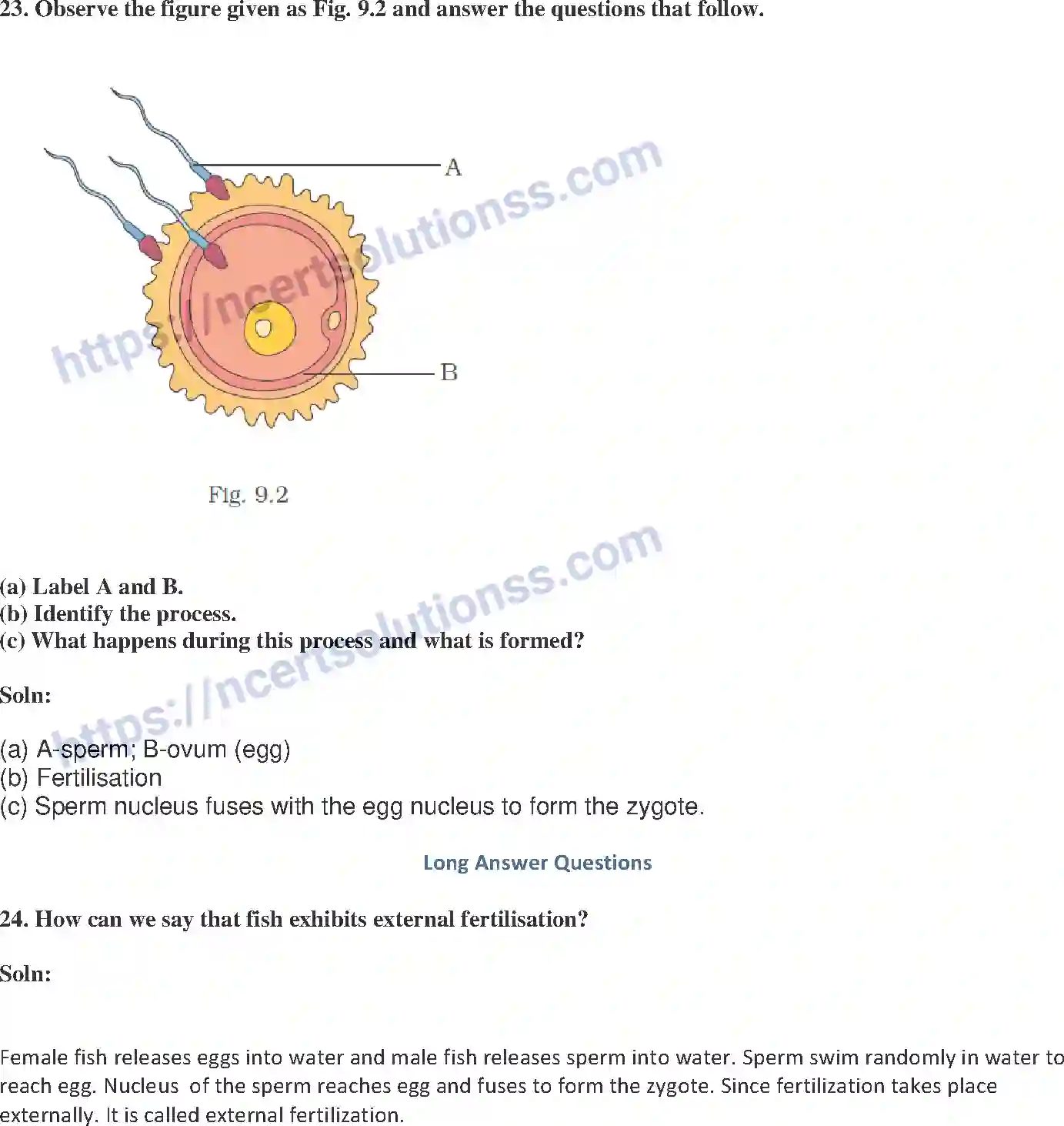 NCERT-Exemplar-Solution-Class-8-Science-Reproduction-in-Animals-206-page-7