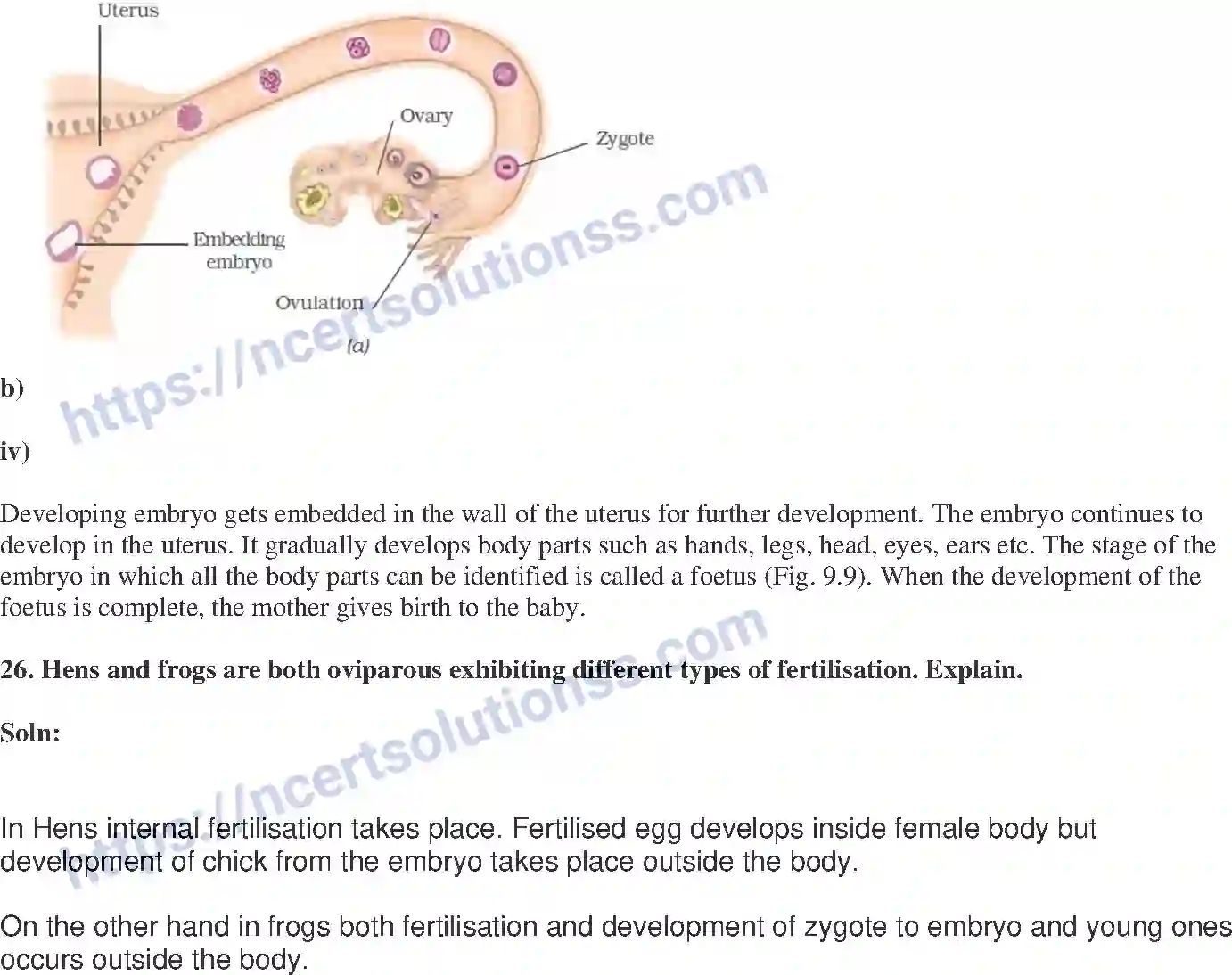 NCERT-Exemplar-Solution-Class-8-Science-Reproduction-in-Animals-206-page-9