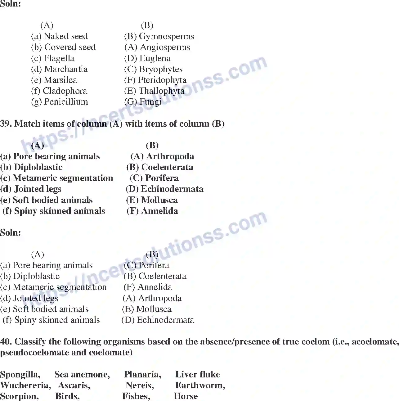 NCERT-Exemplar-Solution-Class-9-Science-Diversity-in-Living-Organisms-176-page-14