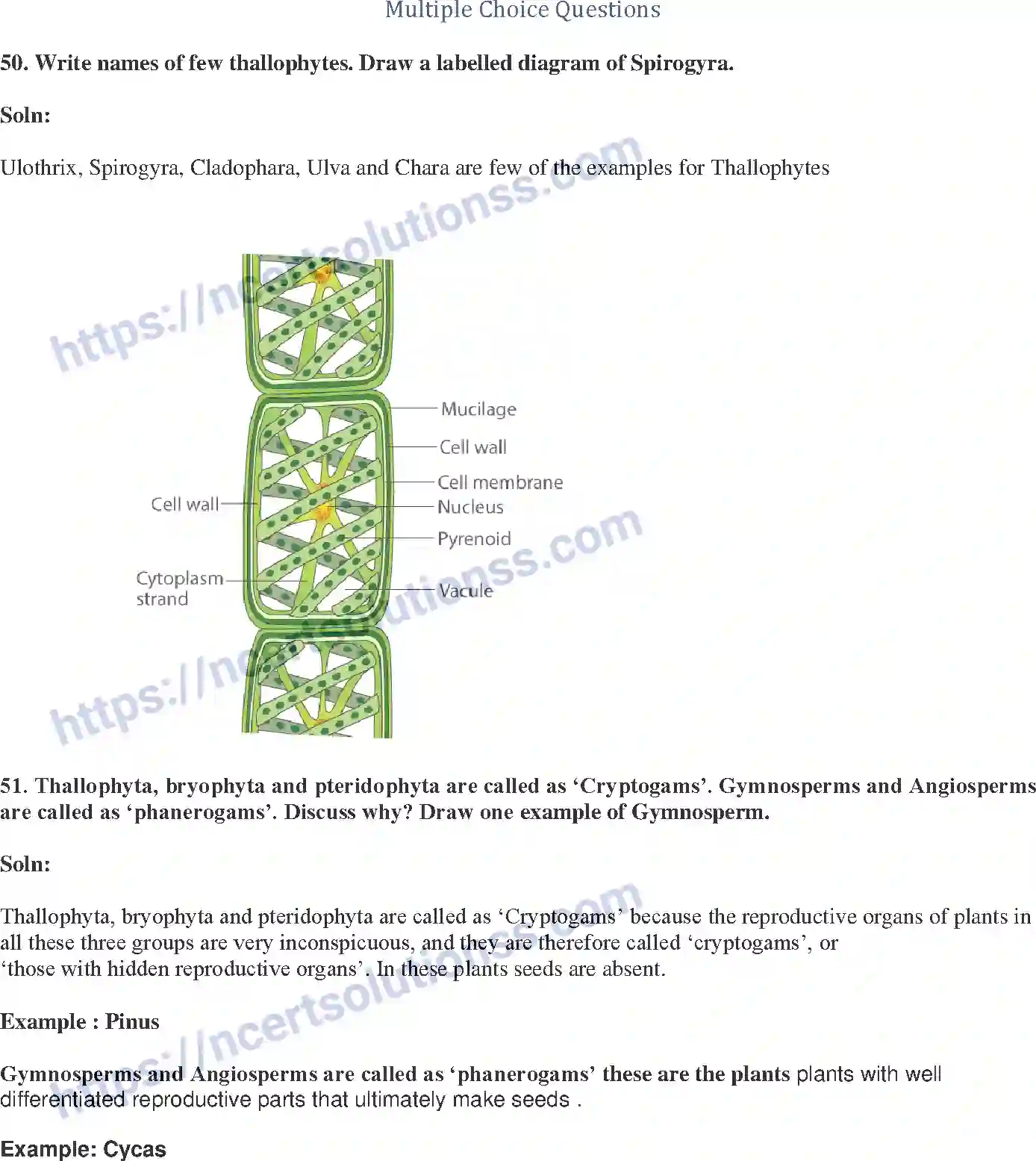 NCERT-Exemplar-Solution-Class-9-Science-Diversity-in-Living-Organisms-176-page-19
