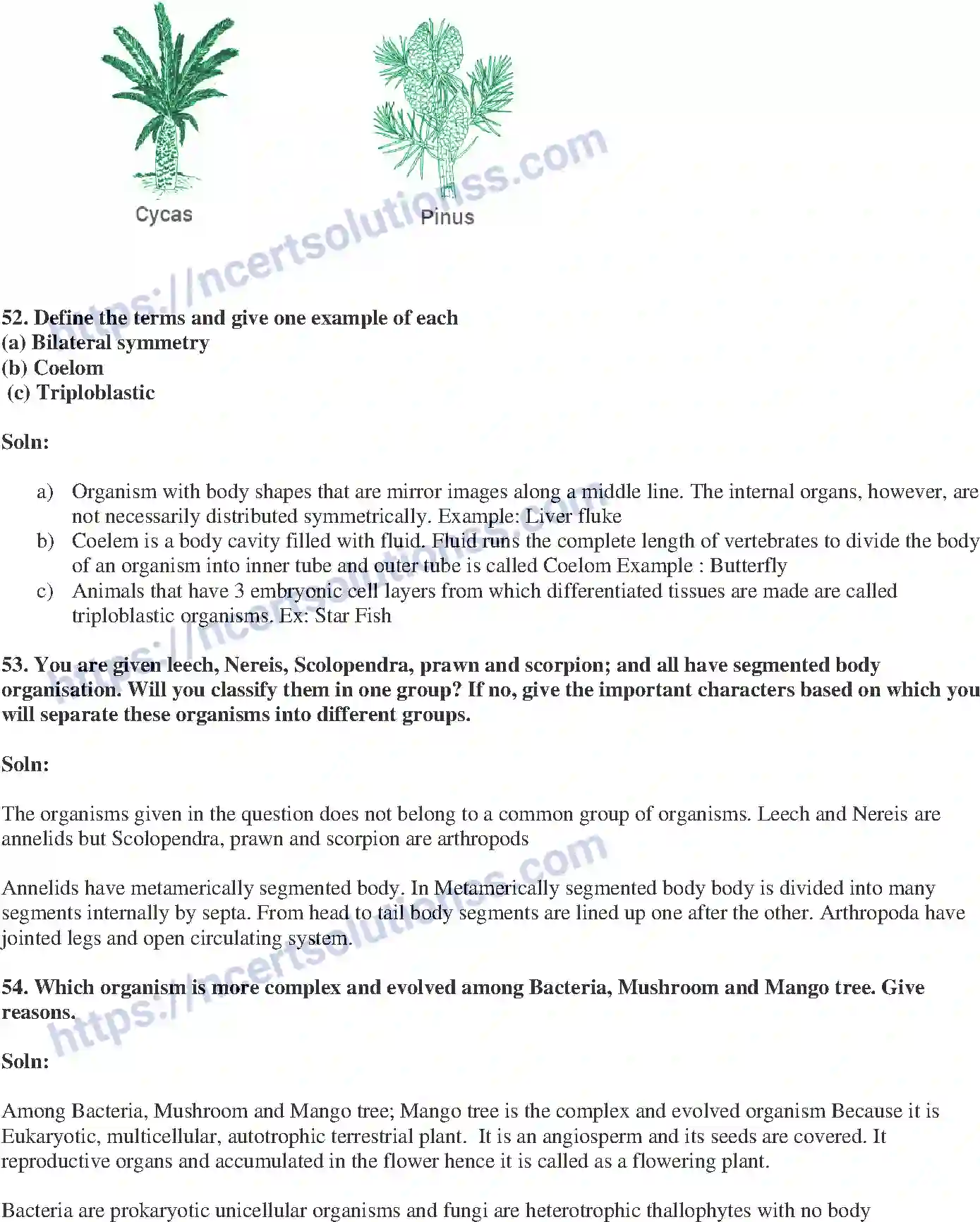 NCERT-Exemplar-Solution-Class-9-Science-Diversity-in-Living-Organisms-176-page-20