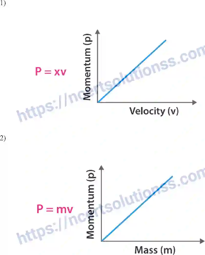 NCERT-Exemplar-Solution-Class-9-Science-Force-and-Laws-of-Motion-178-page-8