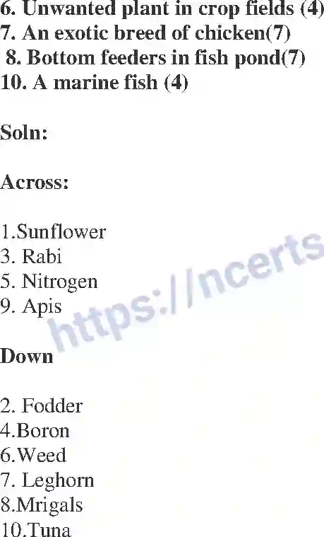 NCERT-Exemplar-Solution-Class-9-Science-Improvement-in-Food-Resources-184-page-16