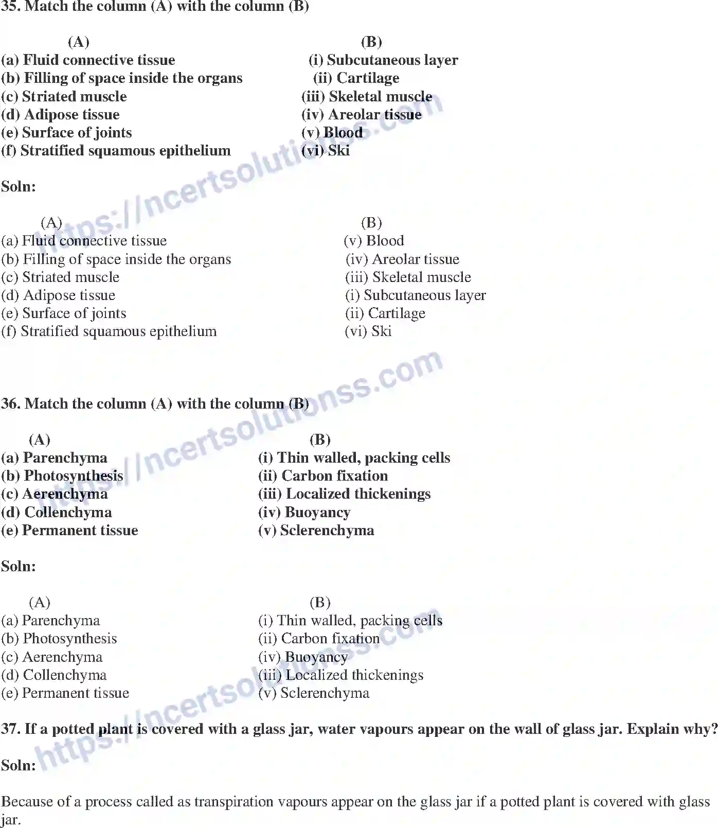 NCERT-Exemplar-Solution-Class-9-Science-Tissues-175-page-12