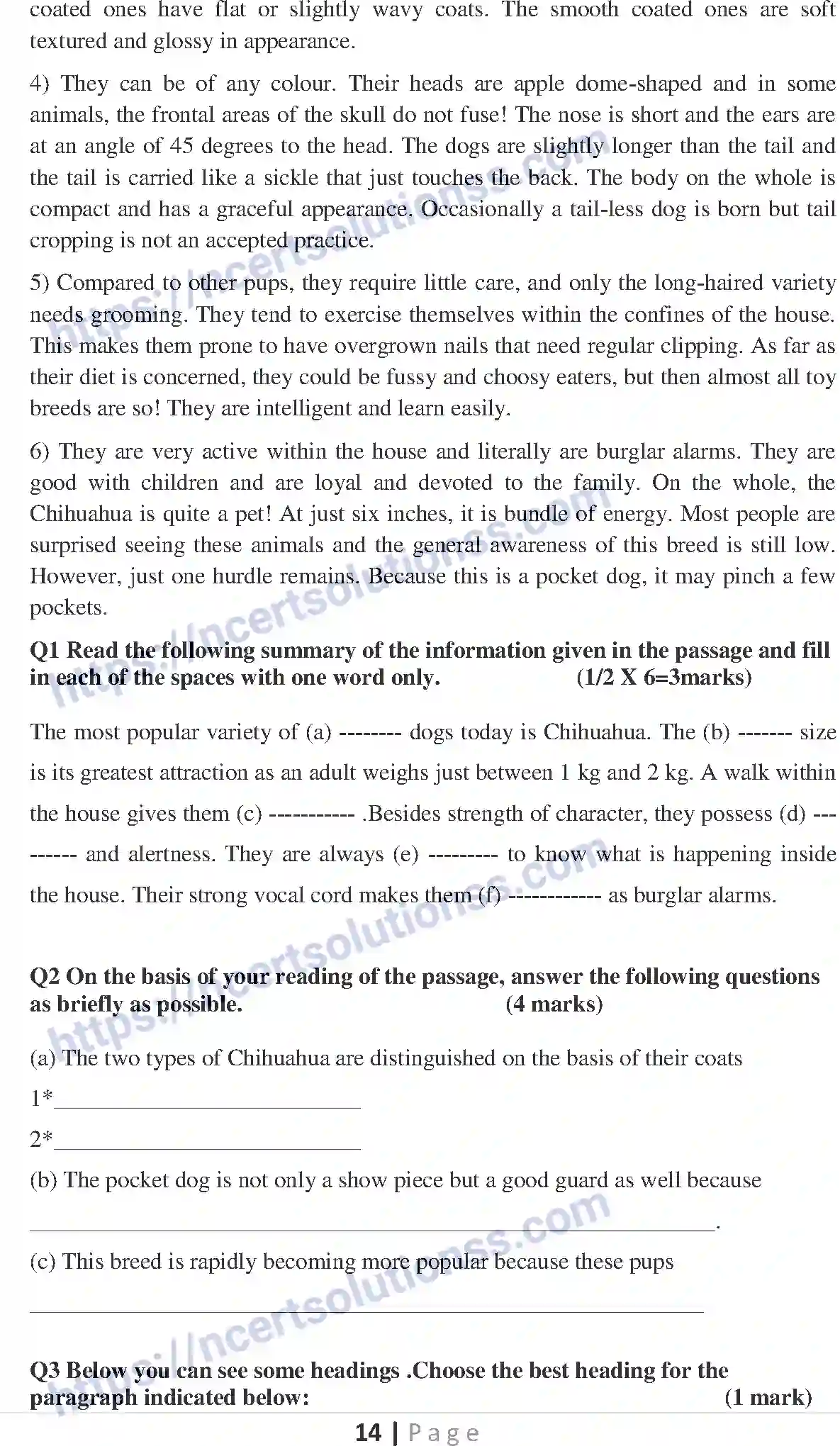 NCERT-Notes-Class-10-English-Communicative-Reading-SA-1-526-page-3