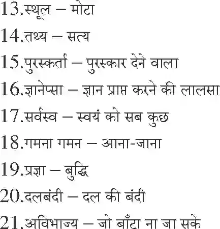 NCERT-Notes-Class-10-क्षितिज-and--II-पाठ-17-and--संस्कृति-1375-page-3