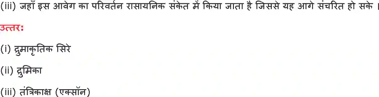 NCERT-Notes-Class-10-विज्ञान-नियंत्रण-एवं-समन्वय-1331-page-5