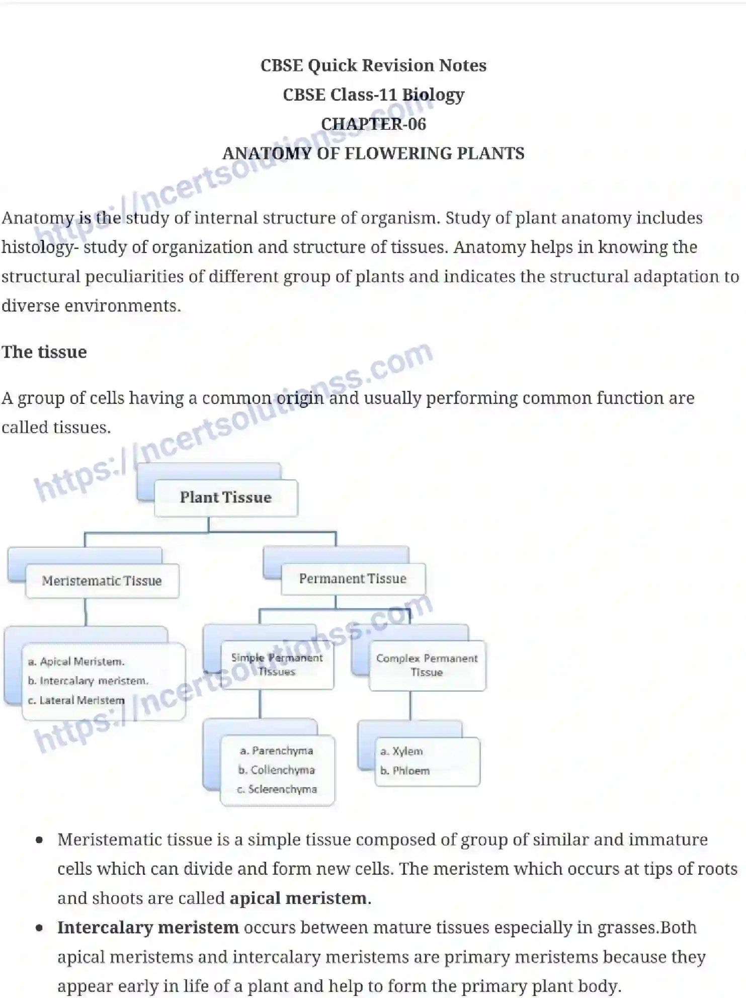 NCERT-Notes-Class-11-Biology-Anatomy-of-Flowering-Plants-230-page-1