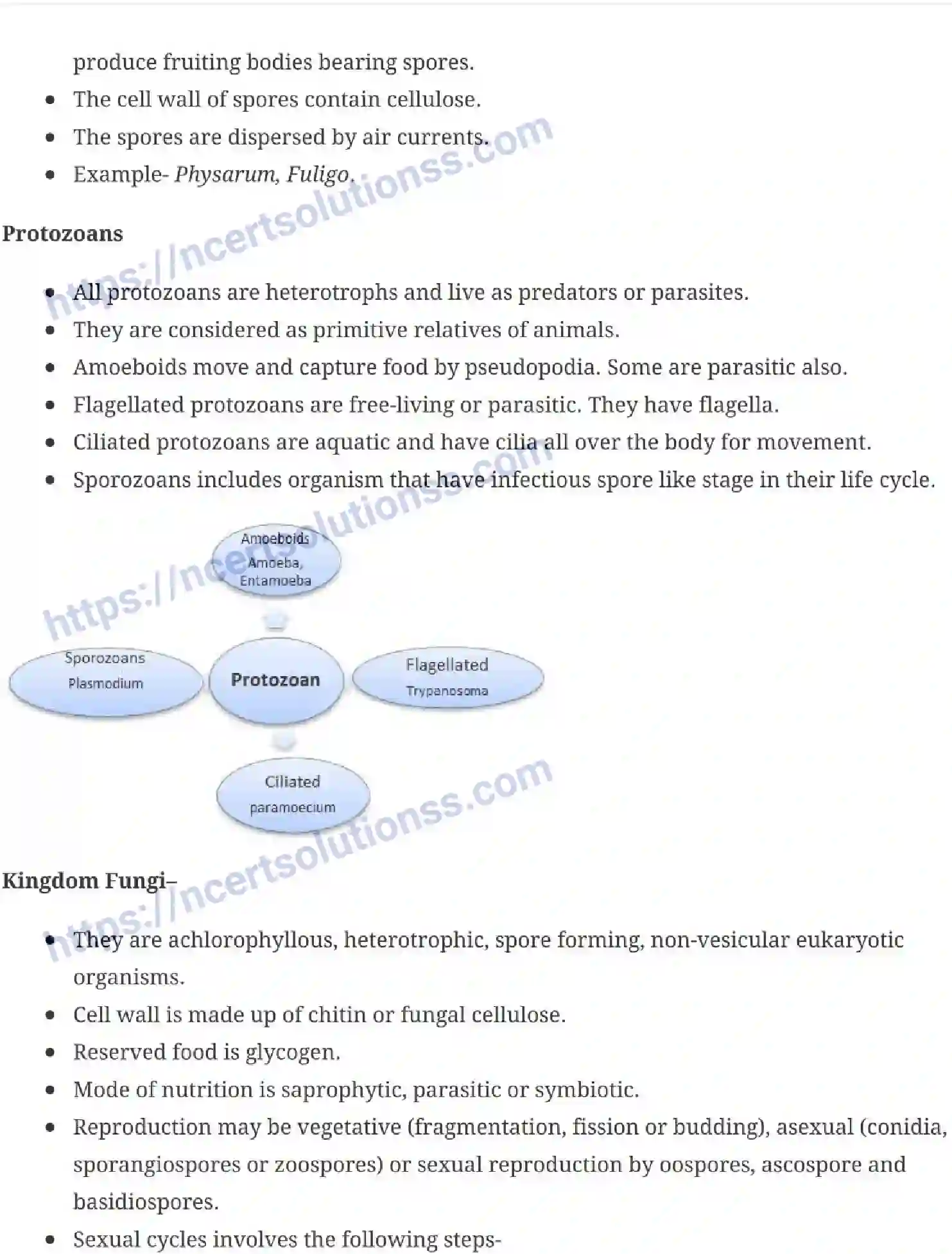 NCERT-Notes-Class-11-Biology-Biological-Classification-226-page-5