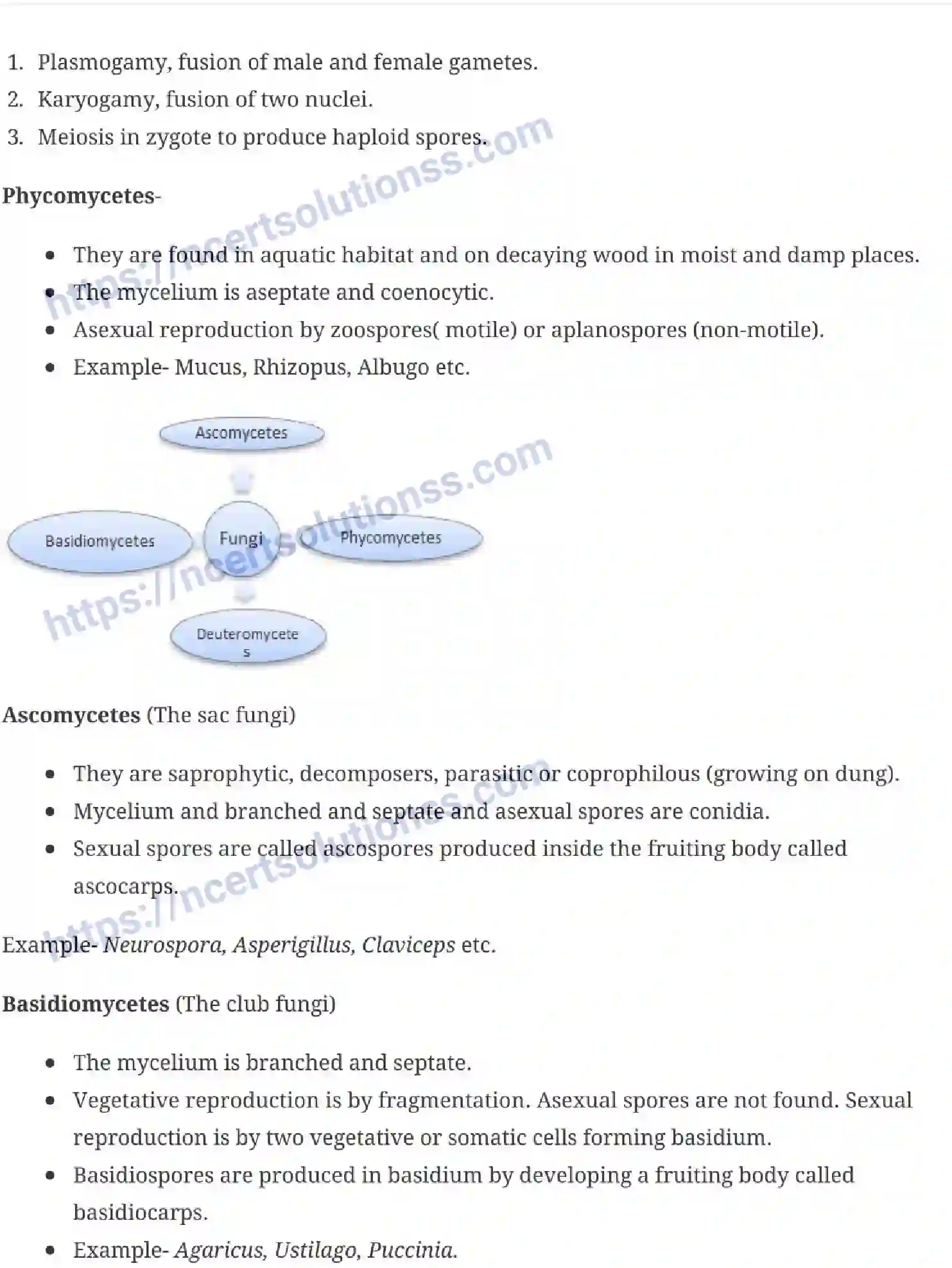 NCERT-Notes-Class-11-Biology-Biological-Classification-226-page-6