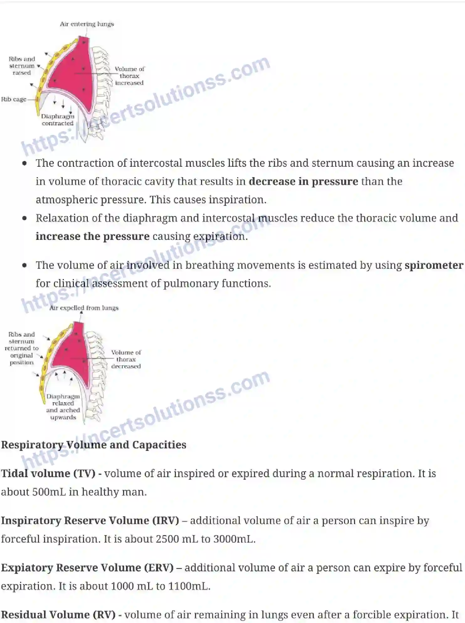 NCERT-Notes-Class-11-Biology-Breathing-and-Exchange-of-Gases-241-page-4