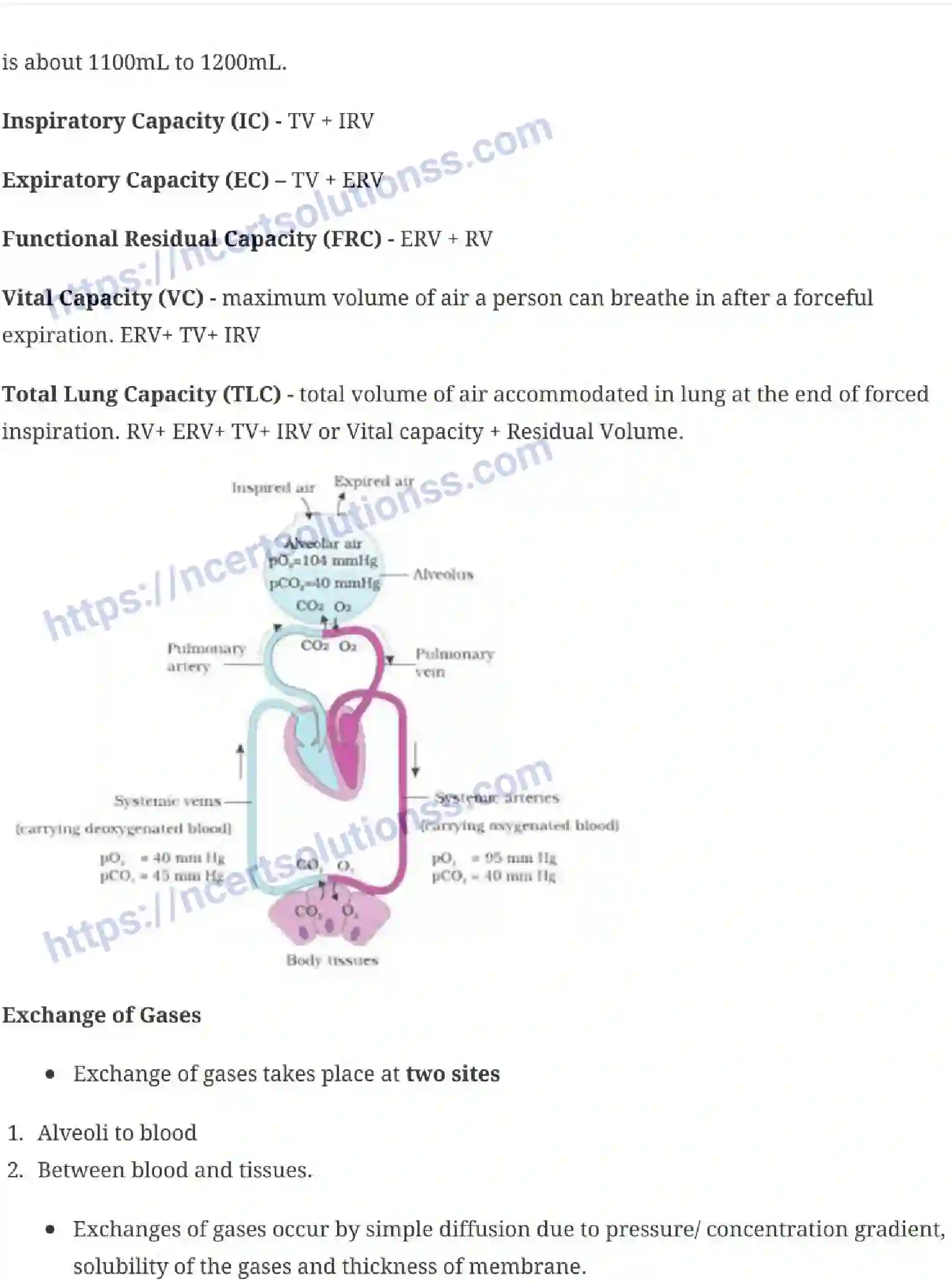 NCERT-Notes-Class-11-Biology-Breathing-and-Exchange-of-Gases-241-page-5