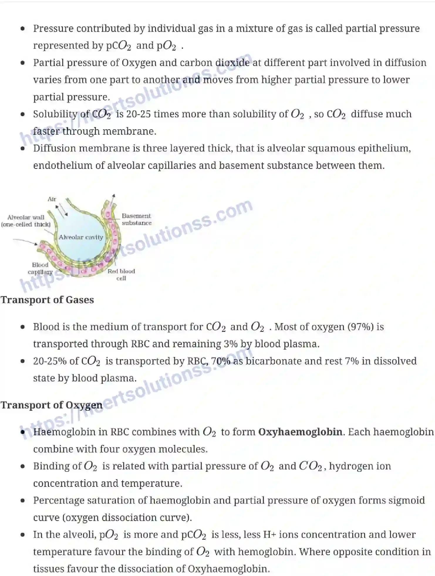 NCERT-Notes-Class-11-Biology-Breathing-and-Exchange-of-Gases-241-page-6