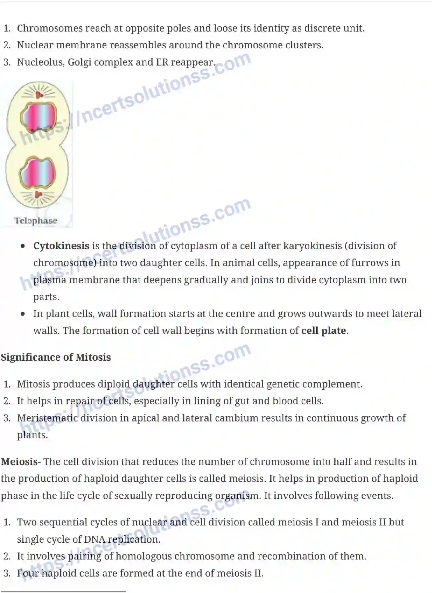 NCERT-Notes-Class-11-Biology-Cell-Cycle-and-Cell-Division-234-page-4