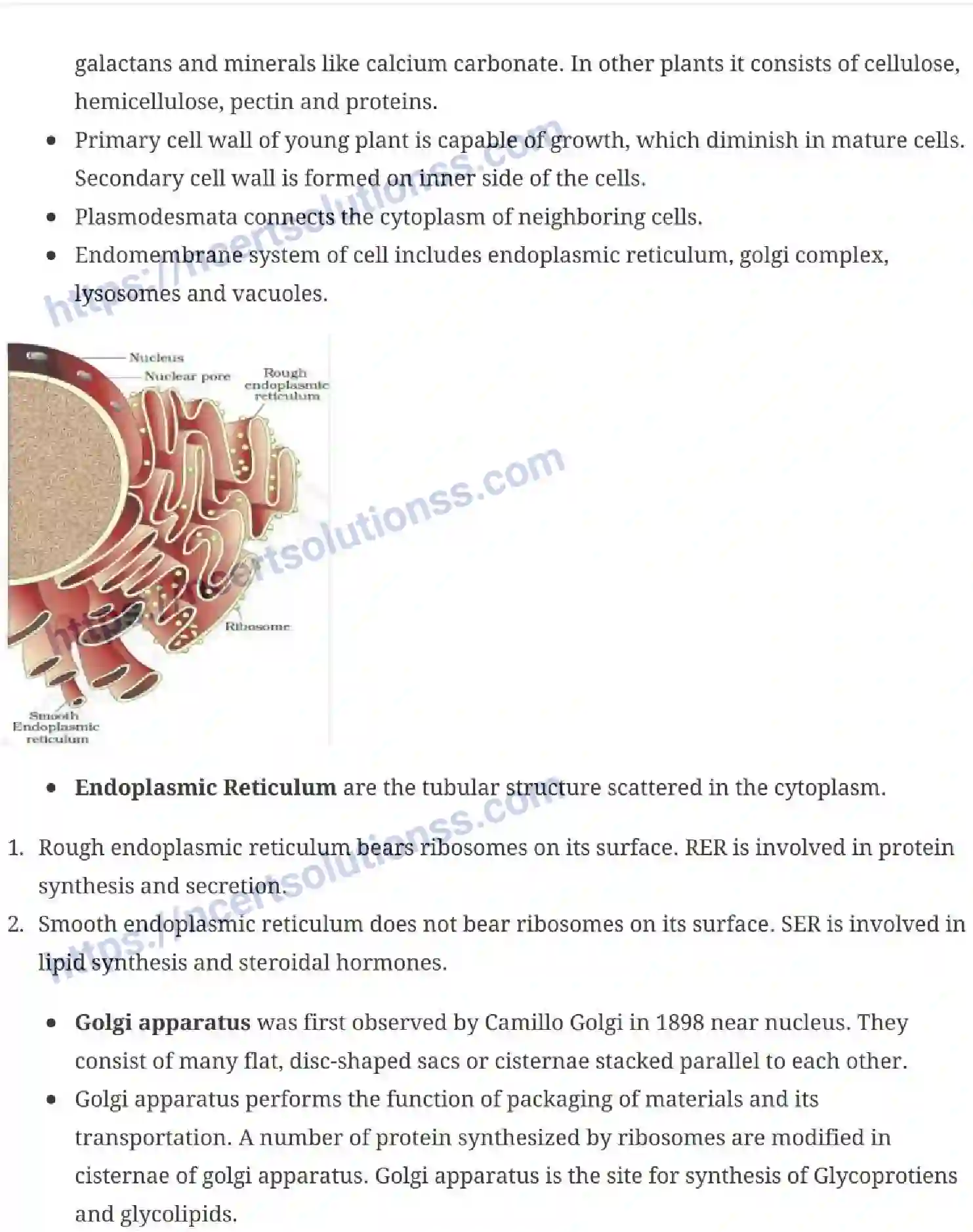 NCERT-Notes-Class-11-Biology-Cell-The-Unit-of-Life-232-page-5