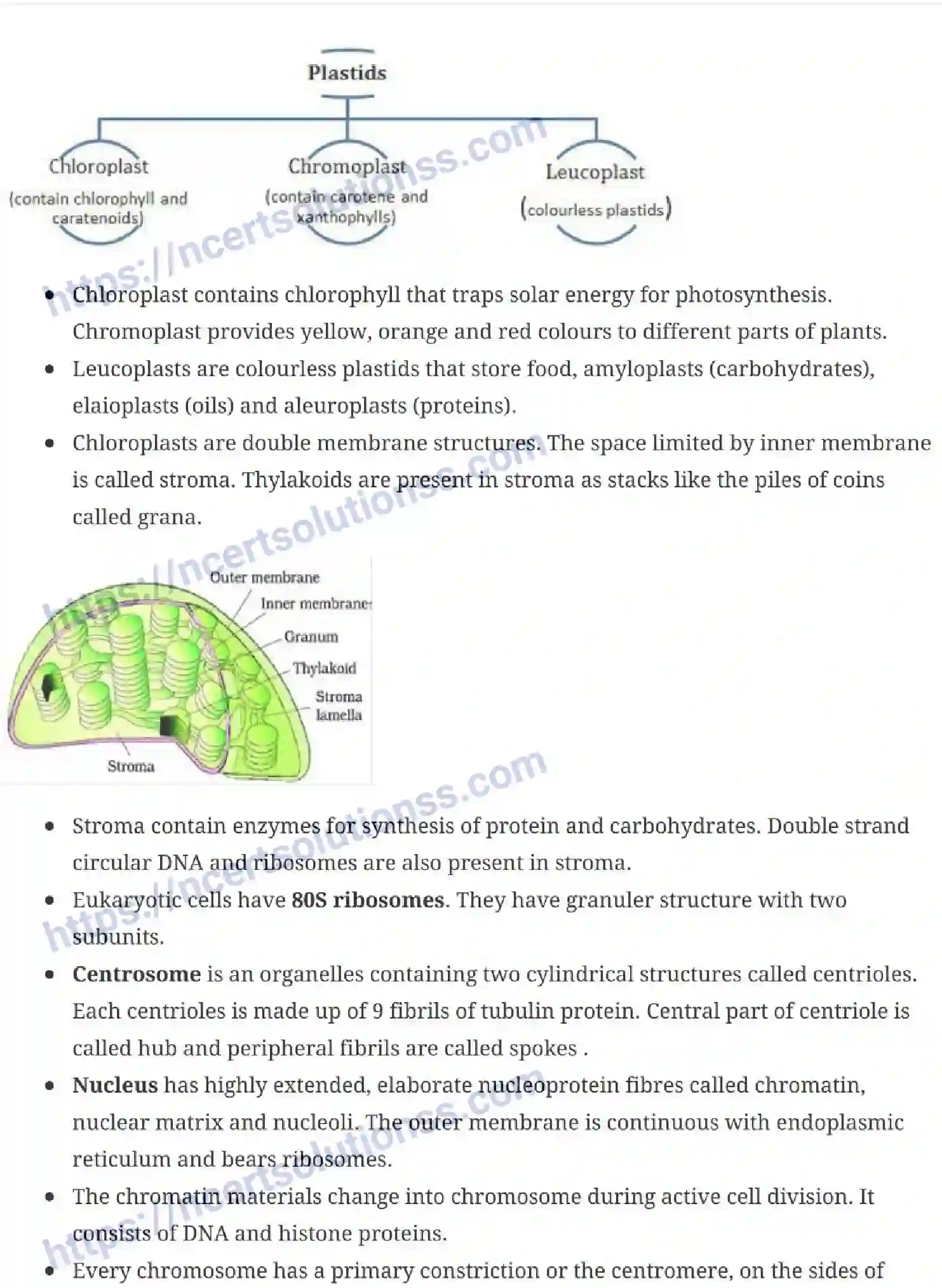NCERT-Notes-Class-11-Biology-Cell-The-Unit-of-Life-232-page-7