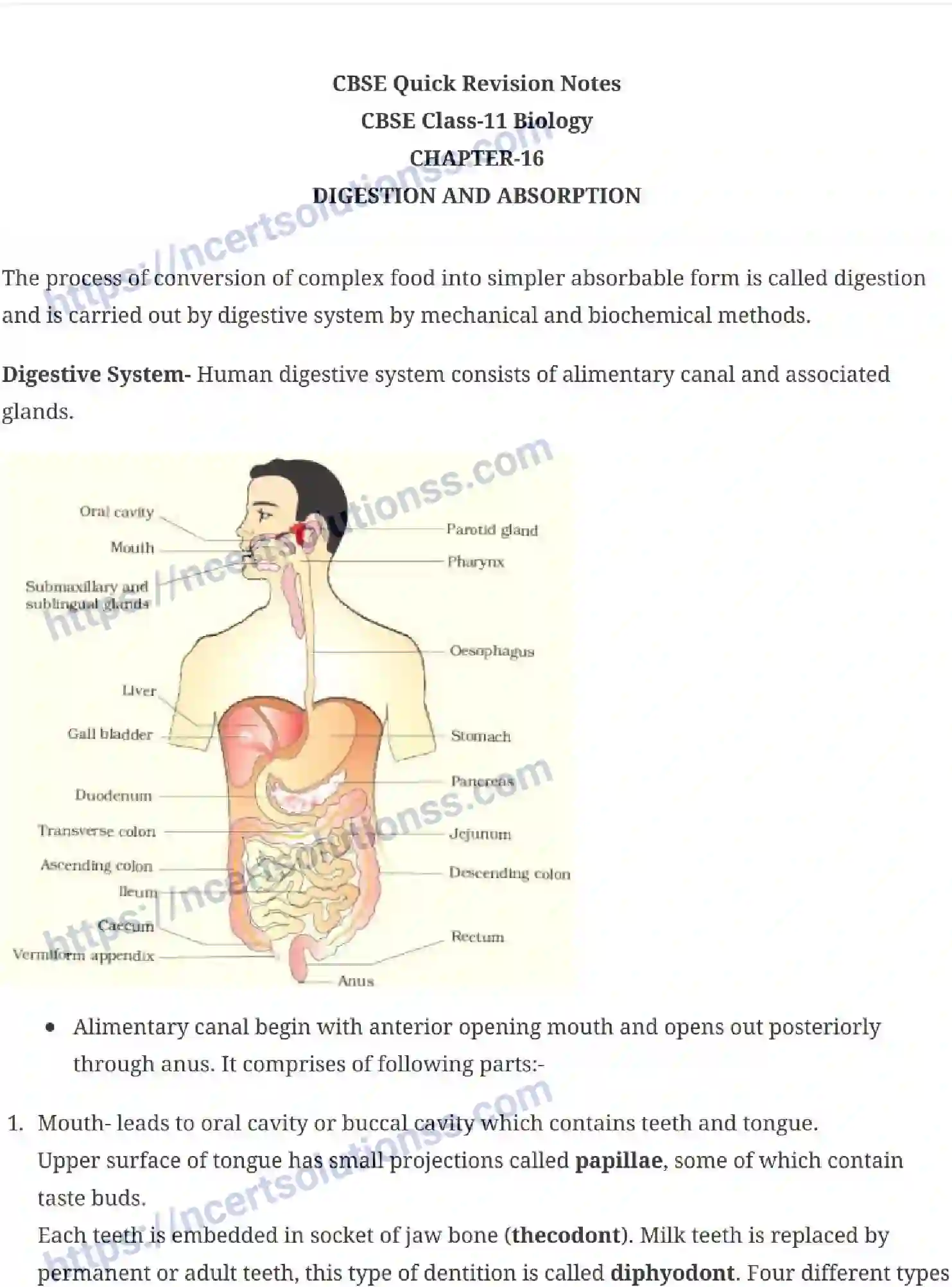 NCERT-Notes-Class-11-Biology-Digestion-and-Absorption-240-page-1