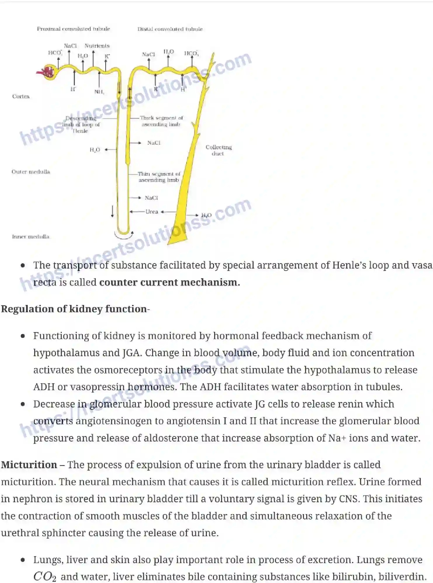 NCERT-Notes-Class-11-Biology-Excretion-Excretory-Products-and-their-Elimination-243-page-5