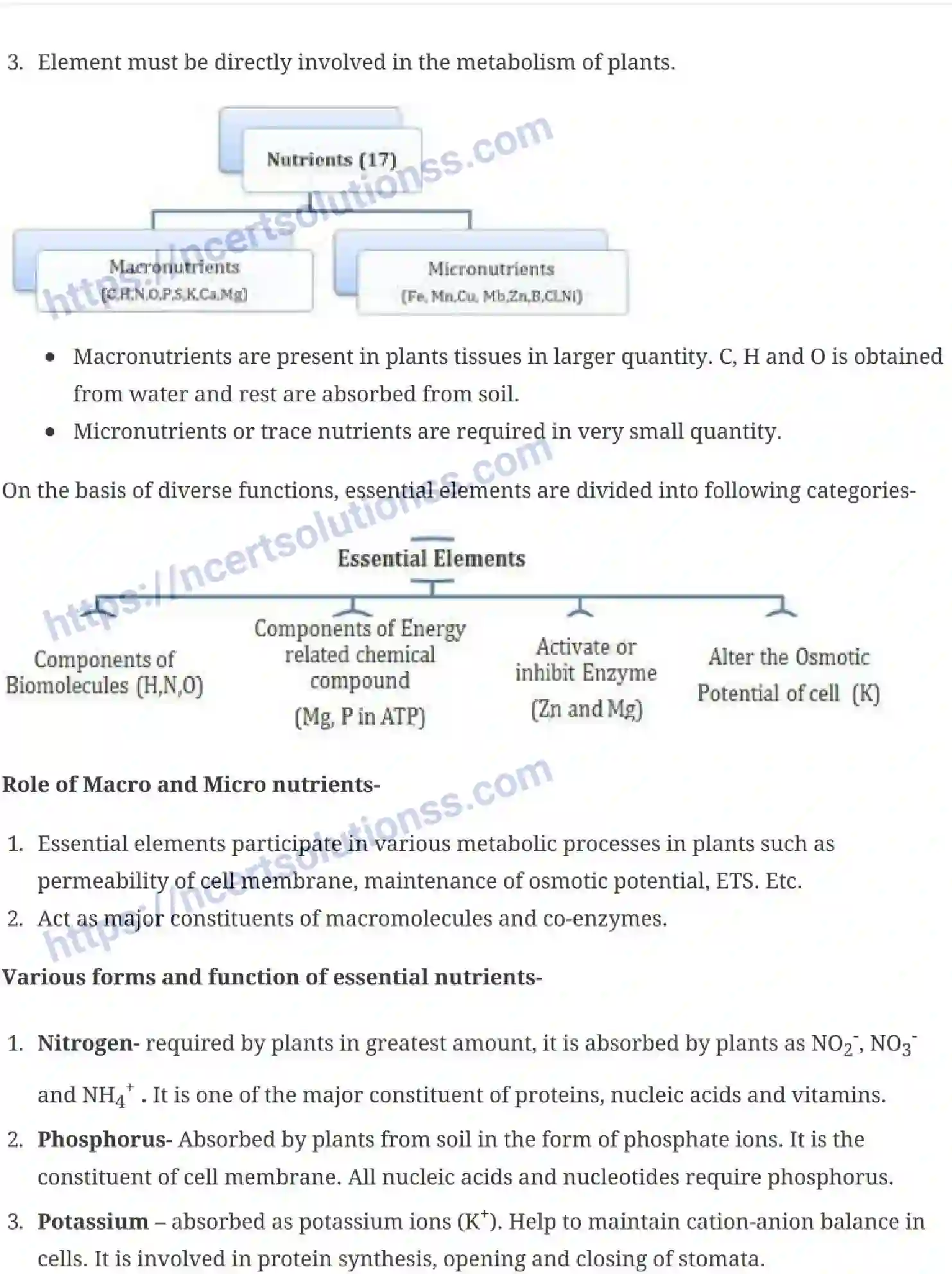 NCERT-Notes-Class-11-Biology-Mineral-Nutrition-236-page-2