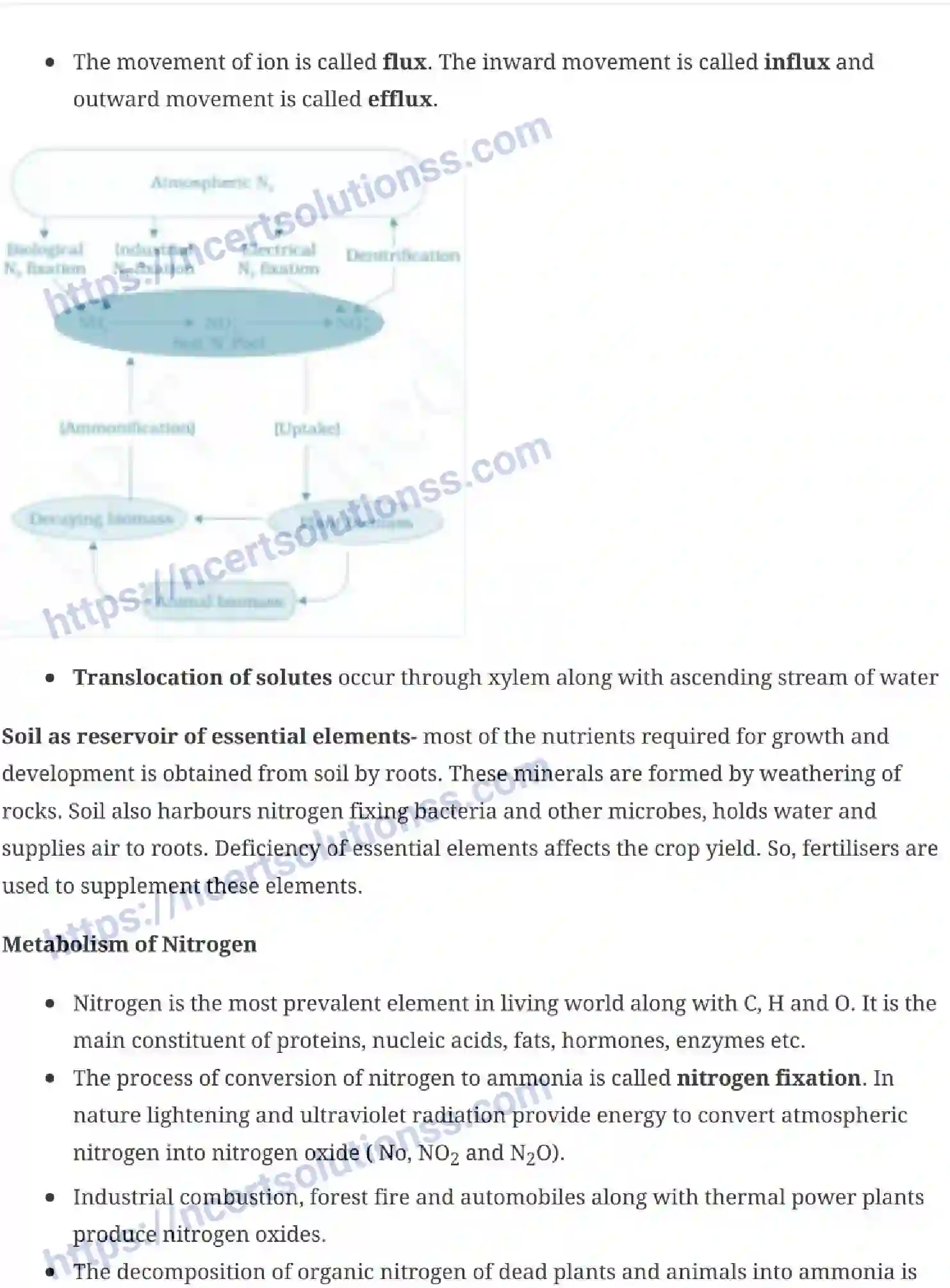 NCERT-Notes-Class-11-Biology-Mineral-Nutrition-236-page-5