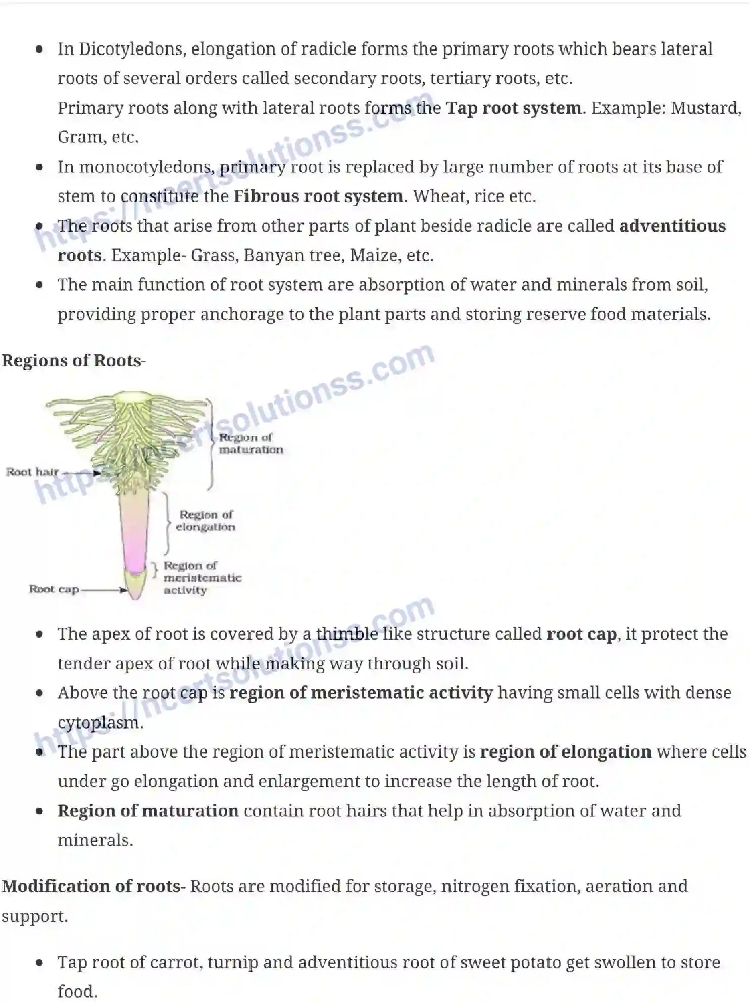NCERT-Notes-Class-11-Biology-Morphology-Of-Flowering-Plants-229-page-2