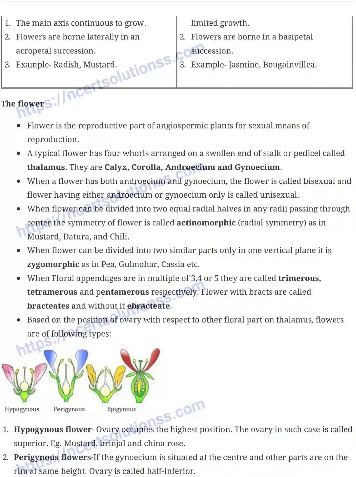 NCERT-Notes-Class-11-Biology-Morphology-Of-Flowering-Plants-229-page-6