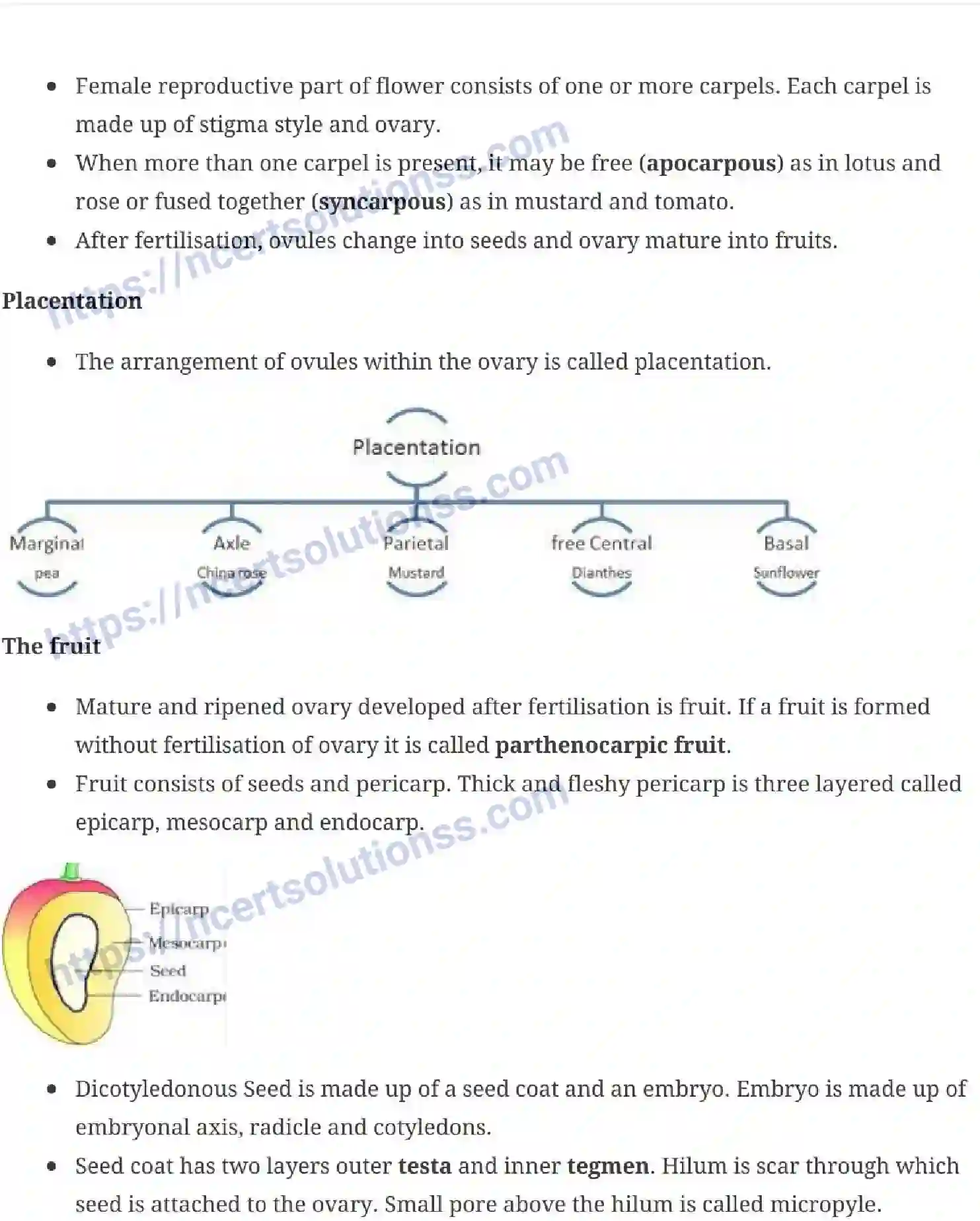 NCERT-Notes-Class-11-Biology-Morphology-Of-Flowering-Plants-229-page-8