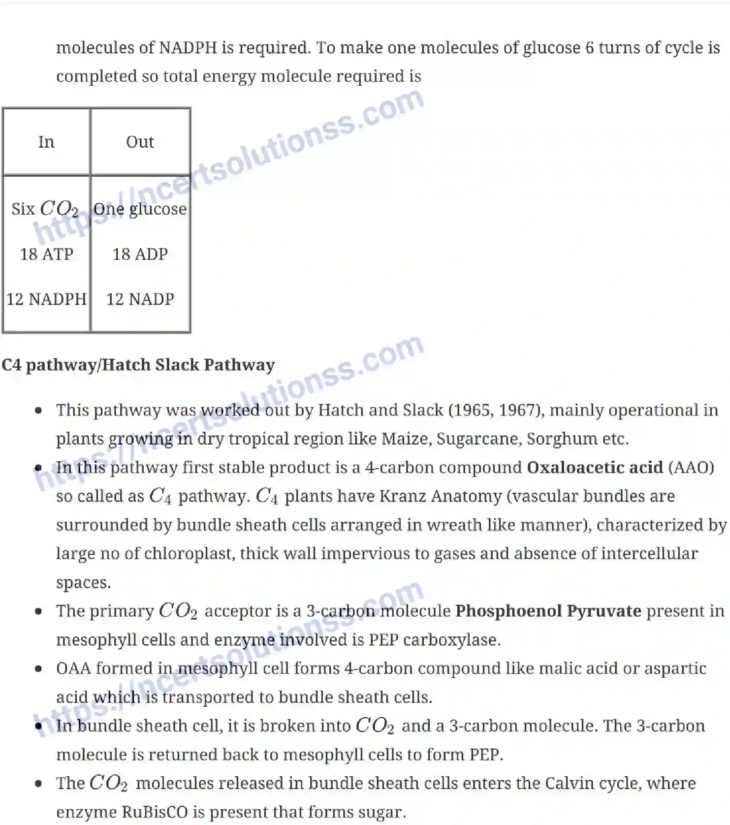 NCERT-Notes-Class-11-Biology-Photosynthesis-in-Higher-Plants-237-page-8