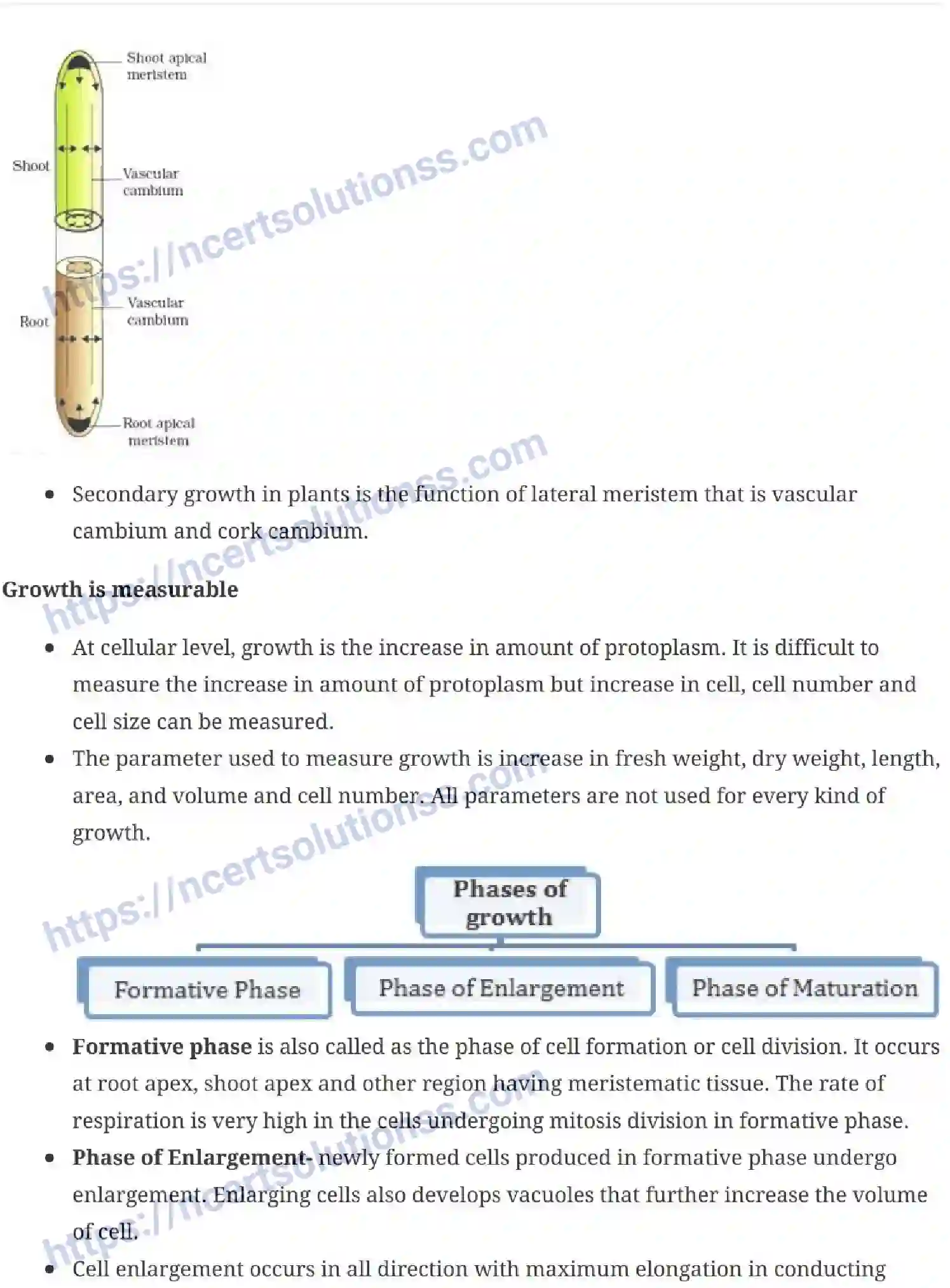 NCERT-Notes-Class-11-Biology-Plant-Growth-And-Development-239-page-2