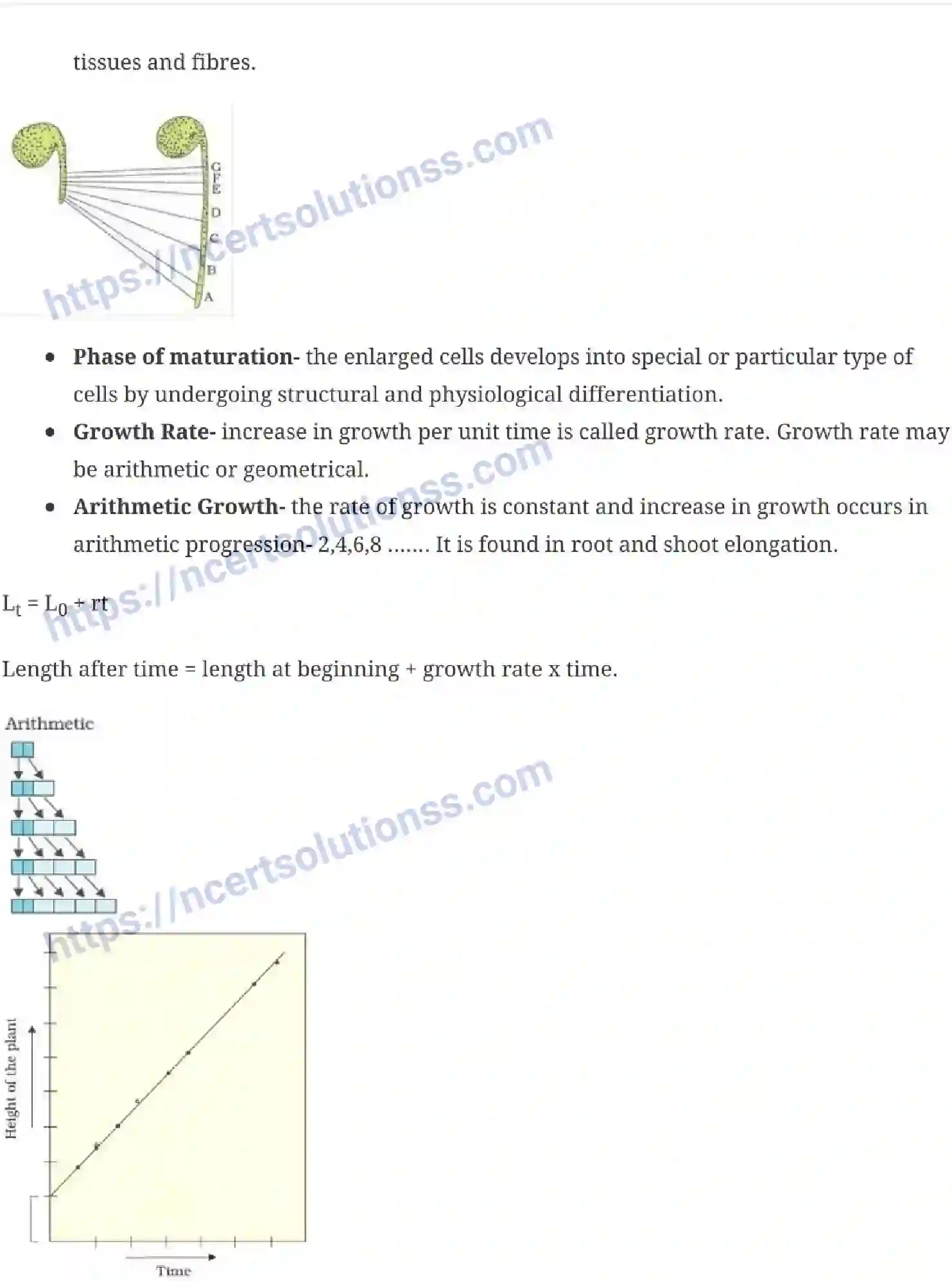 NCERT-Notes-Class-11-Biology-Plant-Growth-And-Development-239-page-3