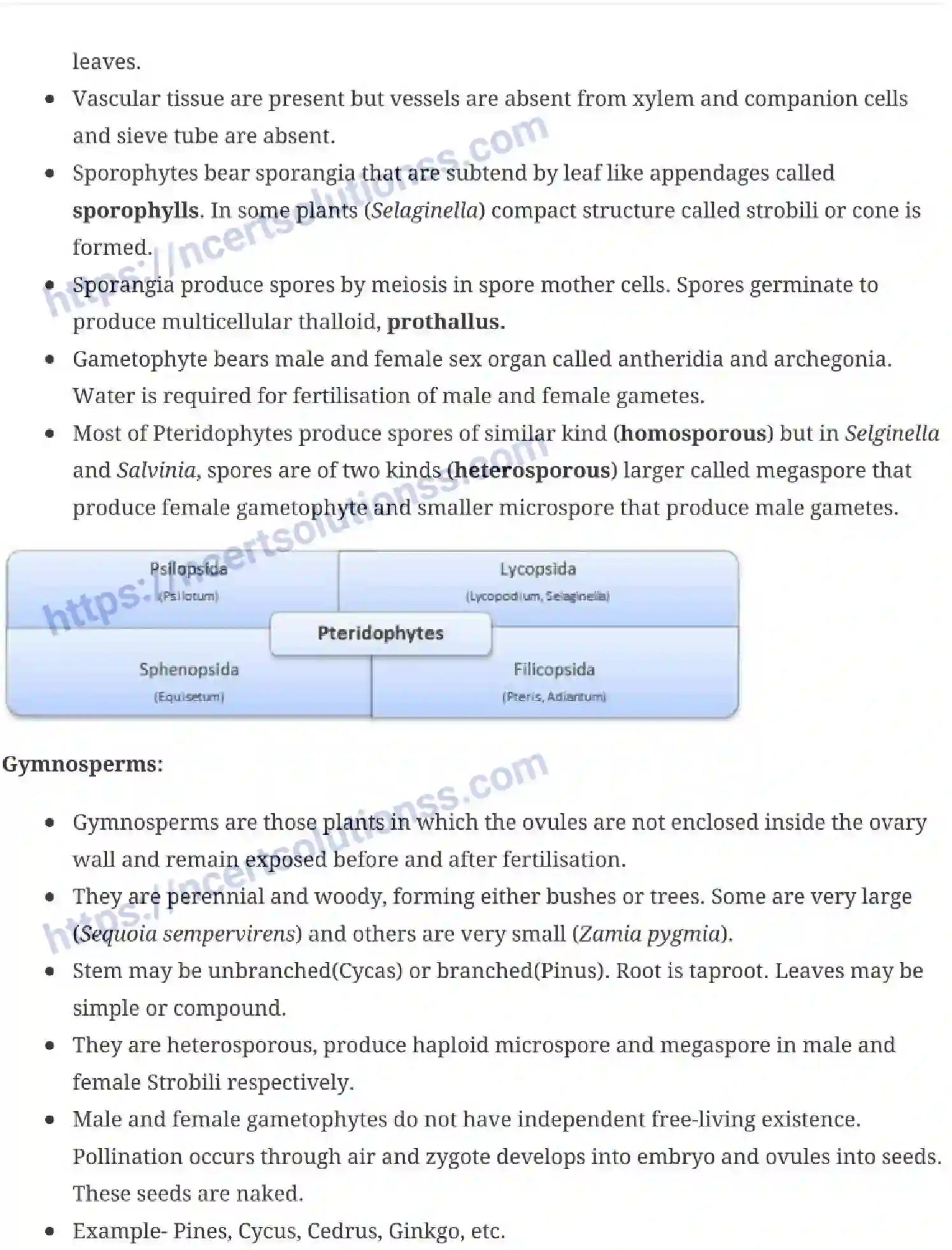 NCERT-Notes-Class-11-Biology-Plant-Kingdom-227-page-5
