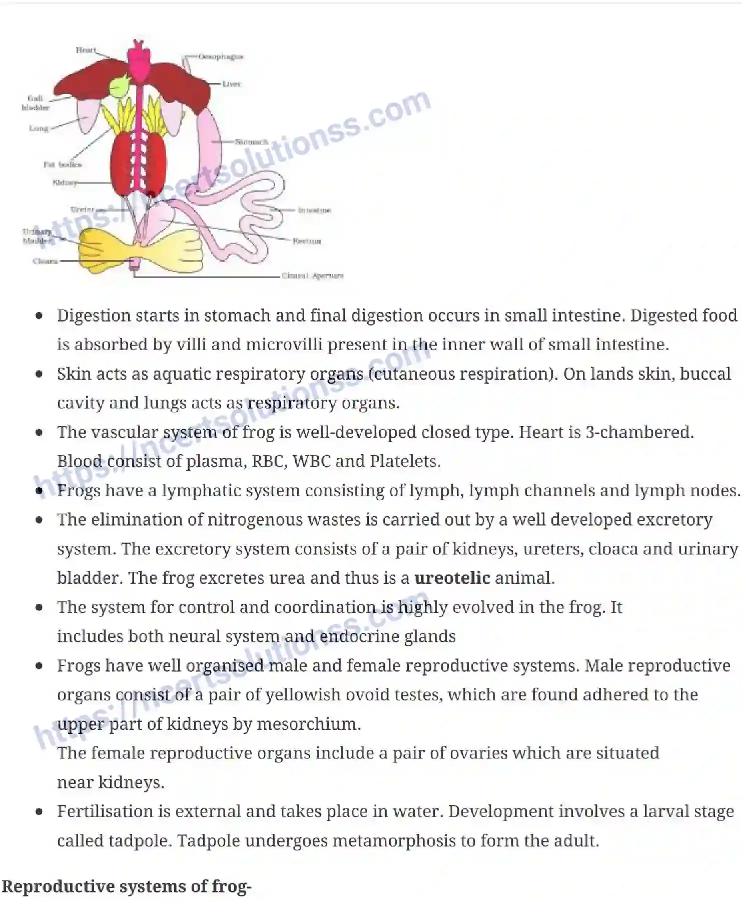 NCERT-Notes-Class-11-Biology-Structural-Organization-in-Animals-231-page-10