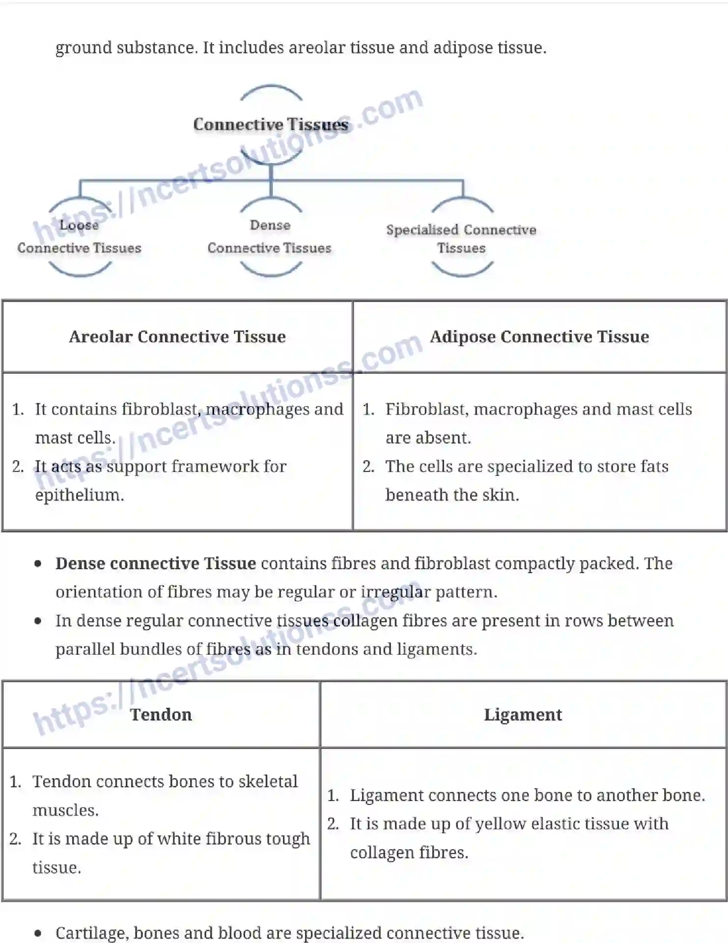 NCERT-Notes-Class-11-Biology-Structural-Organization-in-Animals-231-page-3