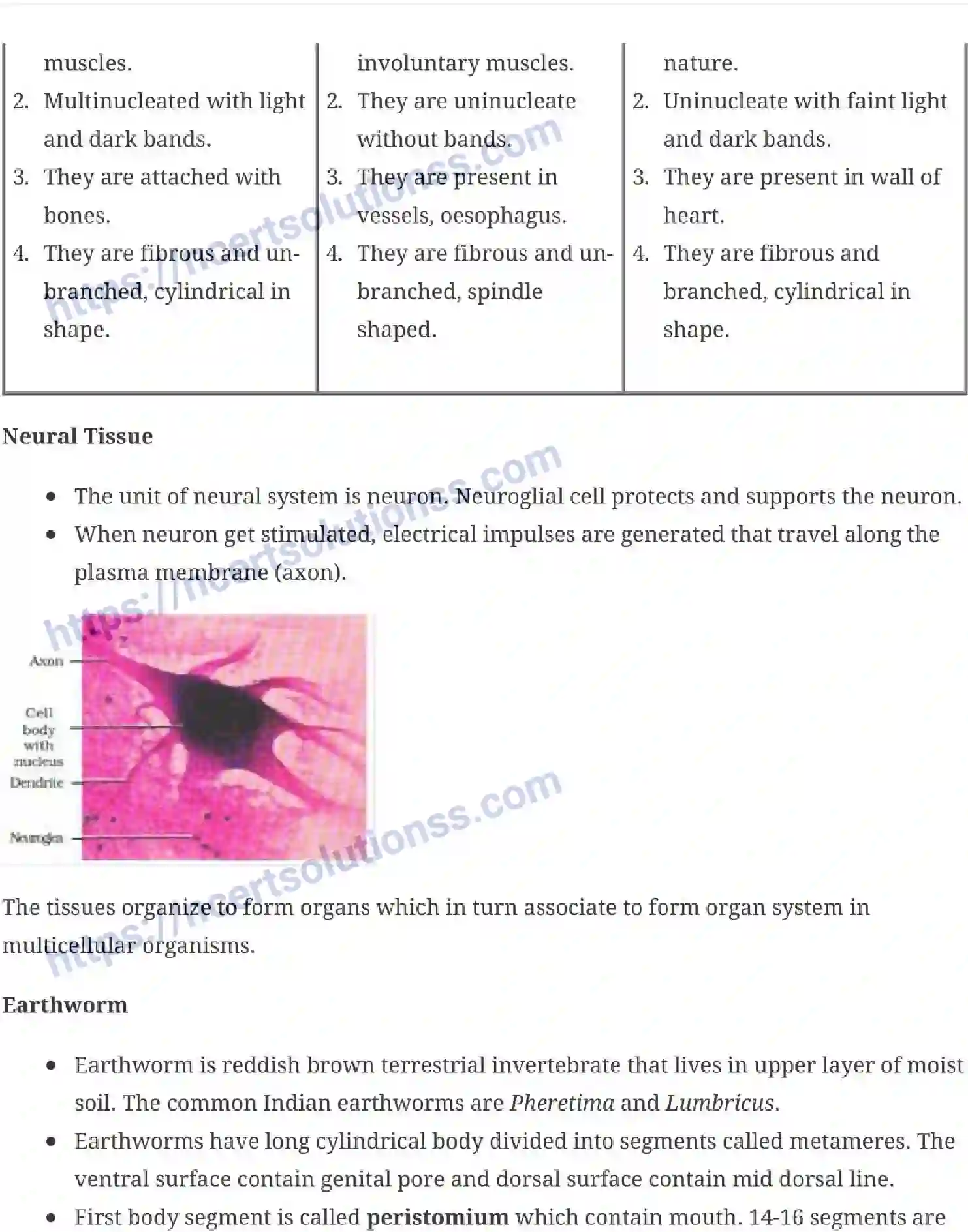 NCERT-Notes-Class-11-Biology-Structural-Organization-in-Animals-231-page-5