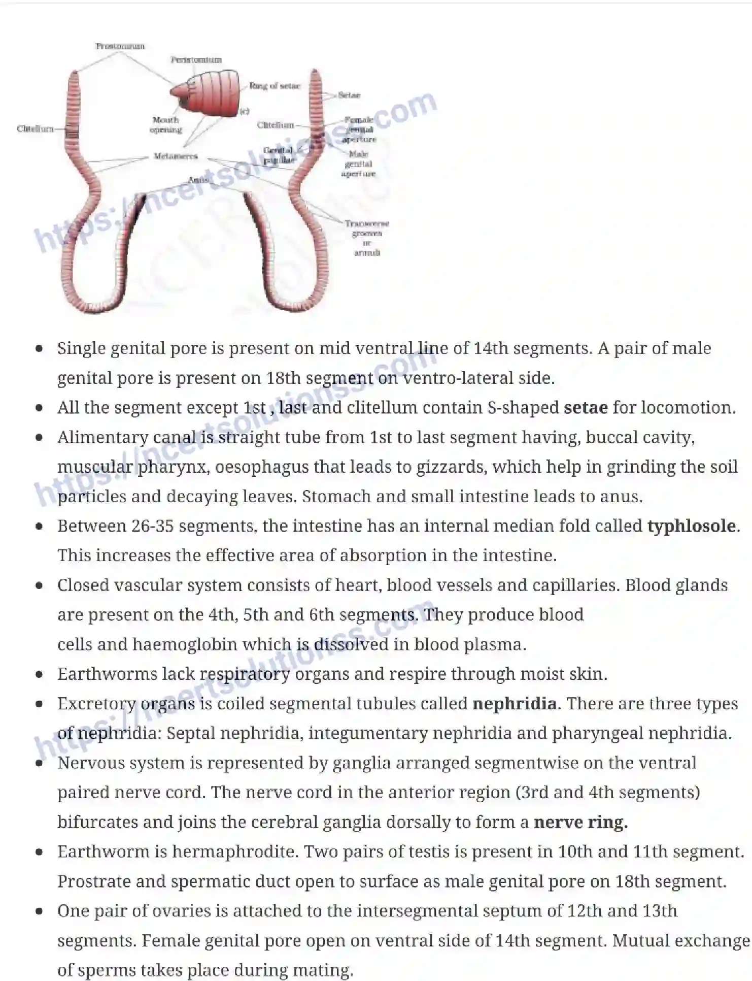 NCERT-Notes-Class-11-Biology-Structural-Organization-in-Animals-231-page-6
