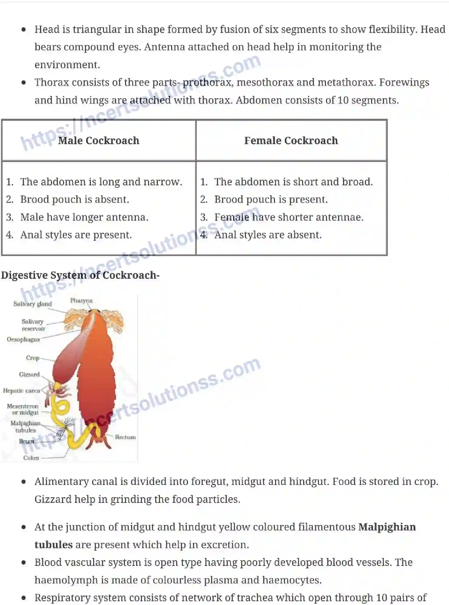 NCERT-Notes-Class-11-Biology-Structural-Organization-in-Animals-231-page-8