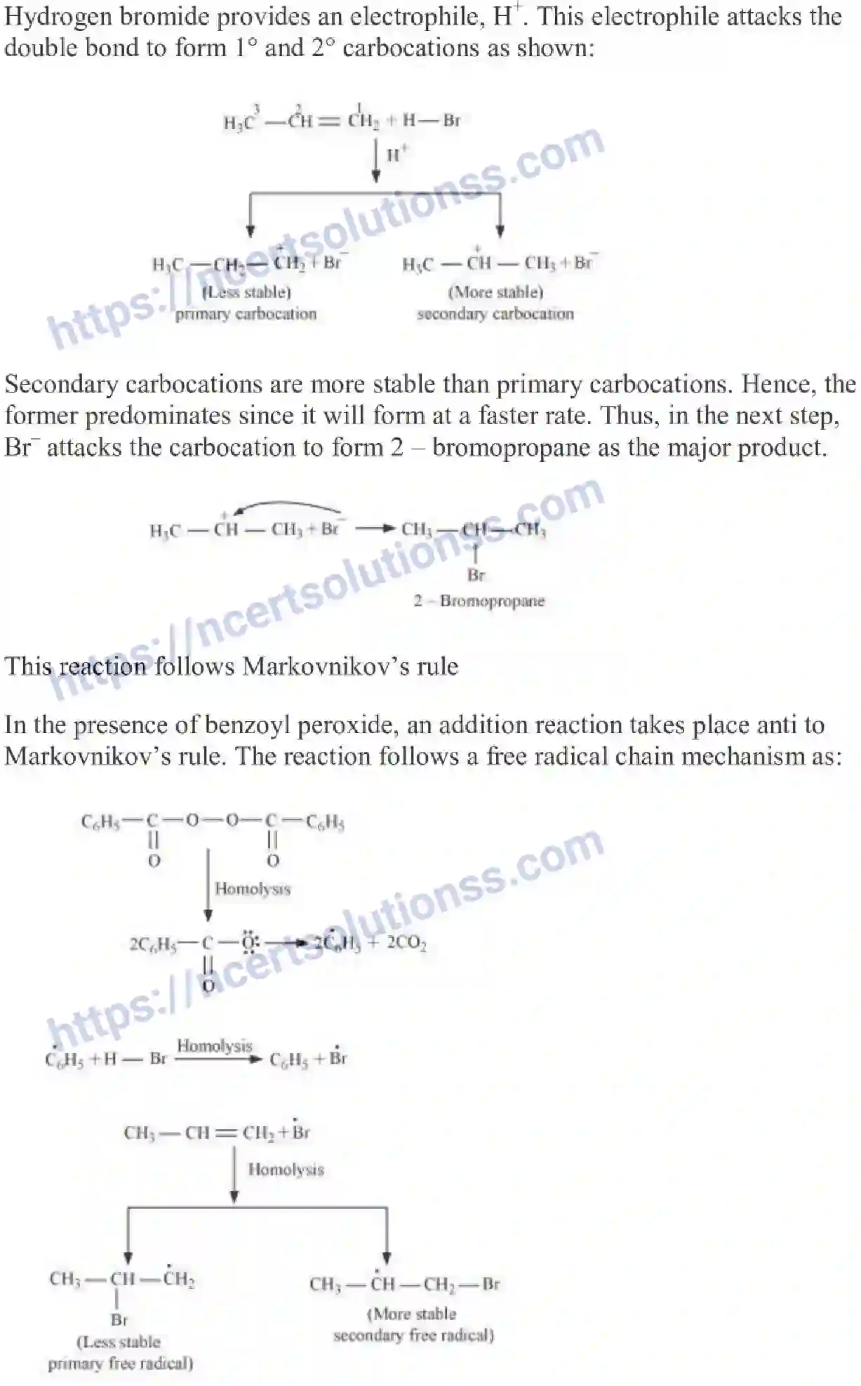 NCERT-Notes-Class-11-Chemistry-Hydrocarbons-259-page-22