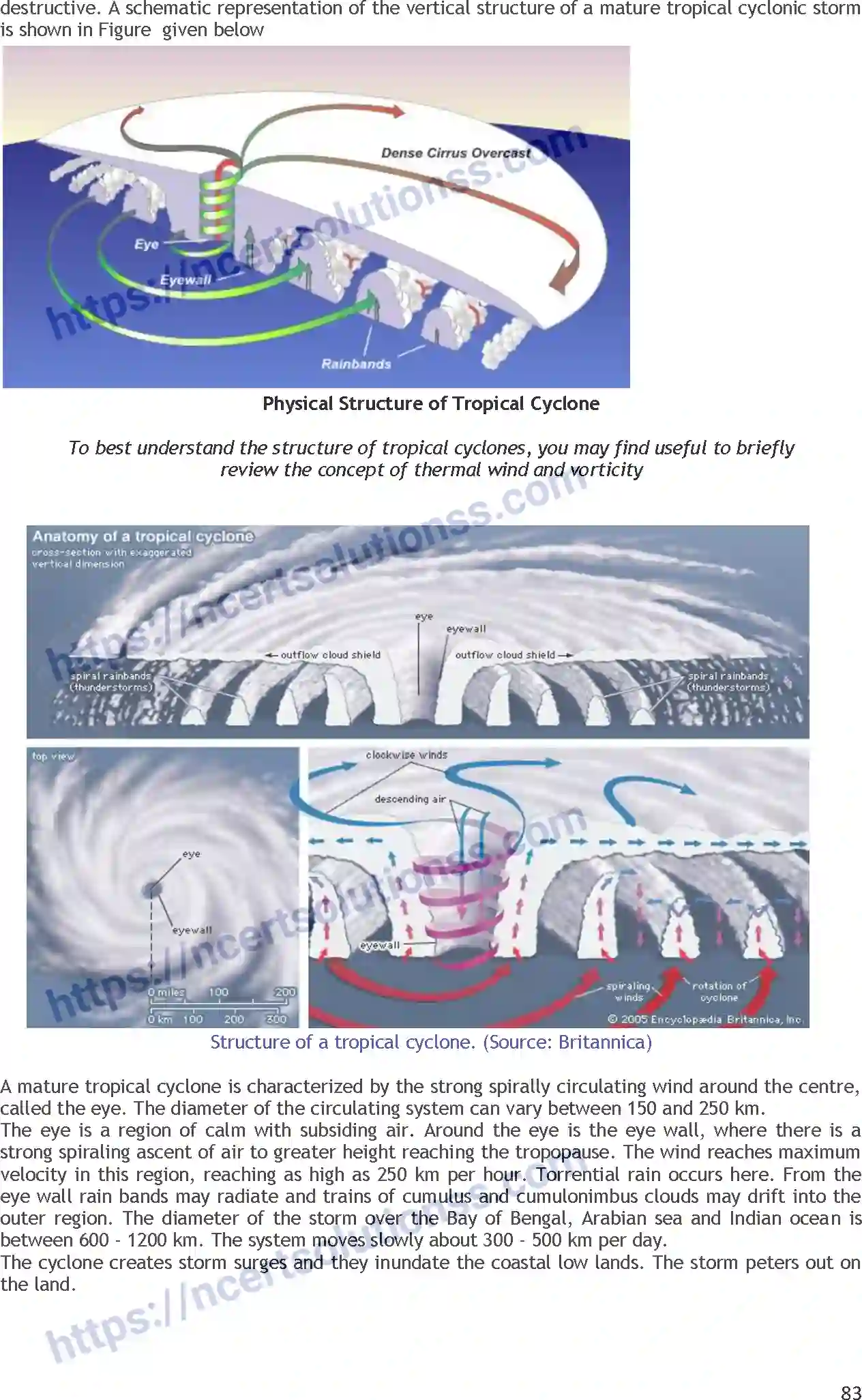 NCERT-Notes-Class-11-Geography-Atmospheric-Circulation-and-Weather-System-348-page-9