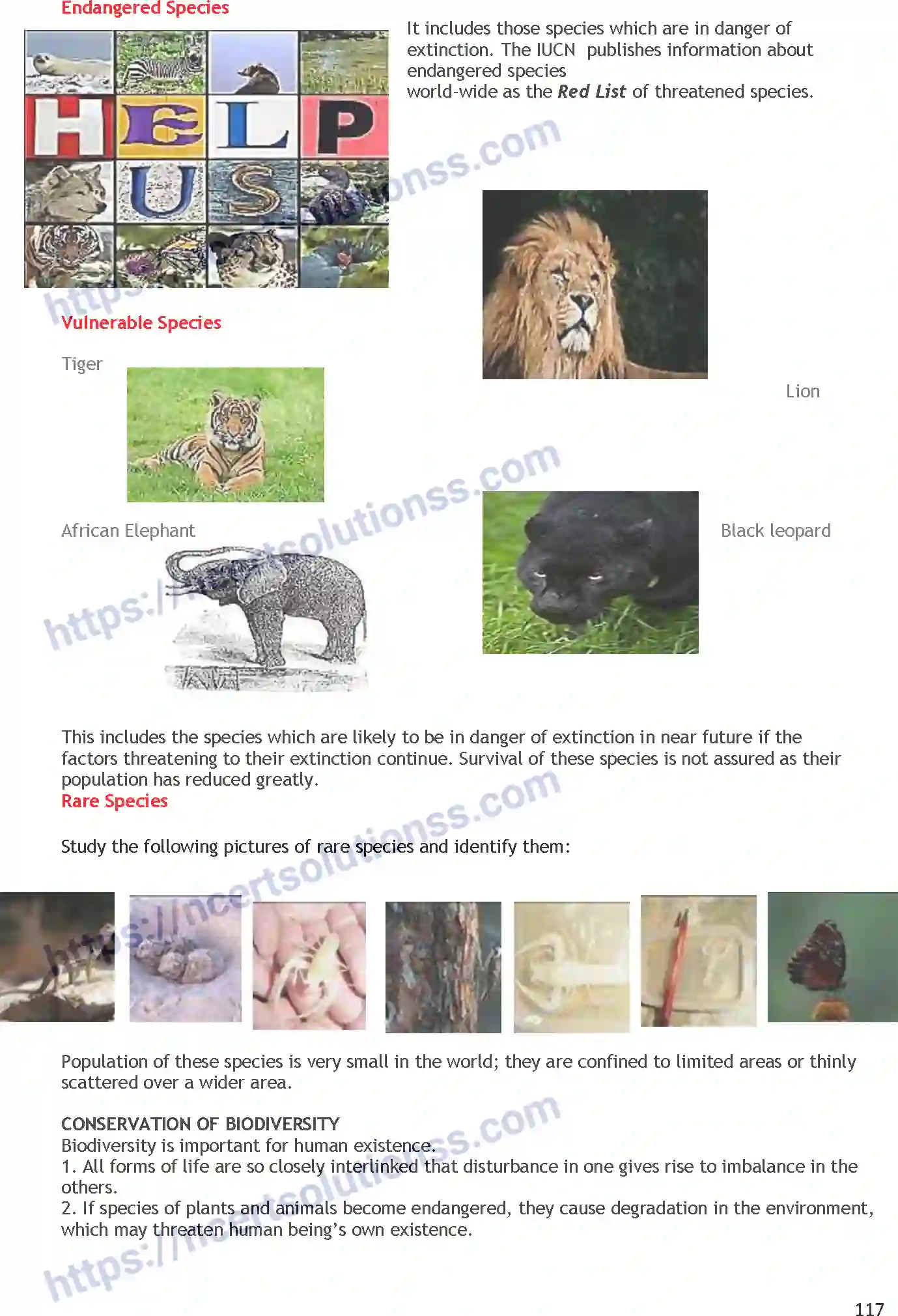 NCERT-Notes-Class-11-Geography-Biodiversity-and-Conservation-349-page-3