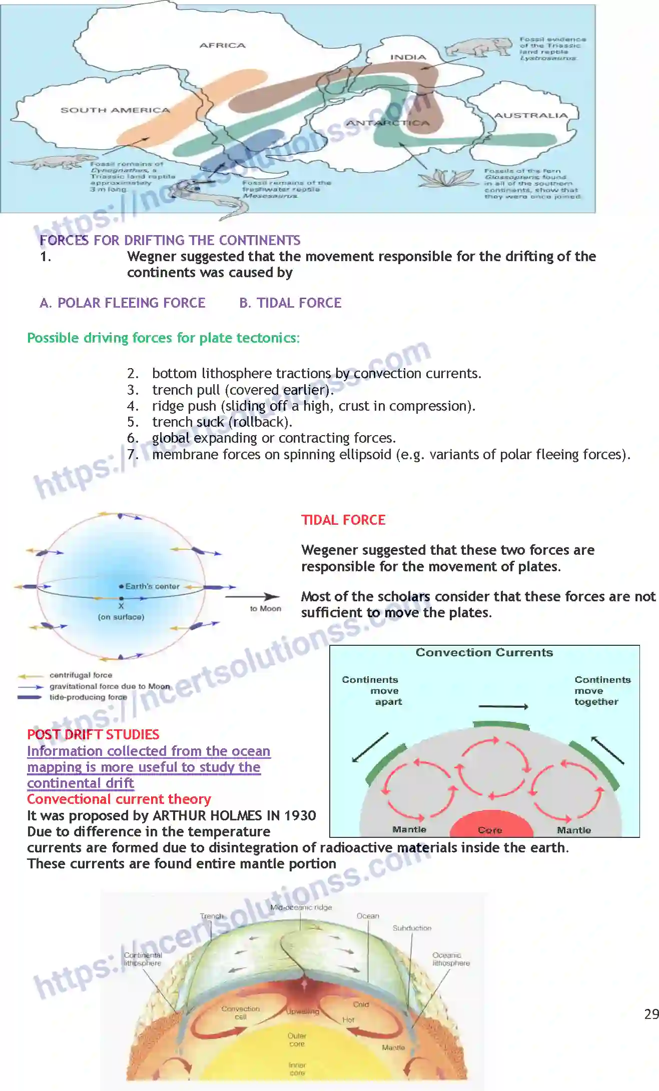 NCERT-Notes-Class-11-Geography-Distribution-of-Oceans-and-Continents-352-page-2